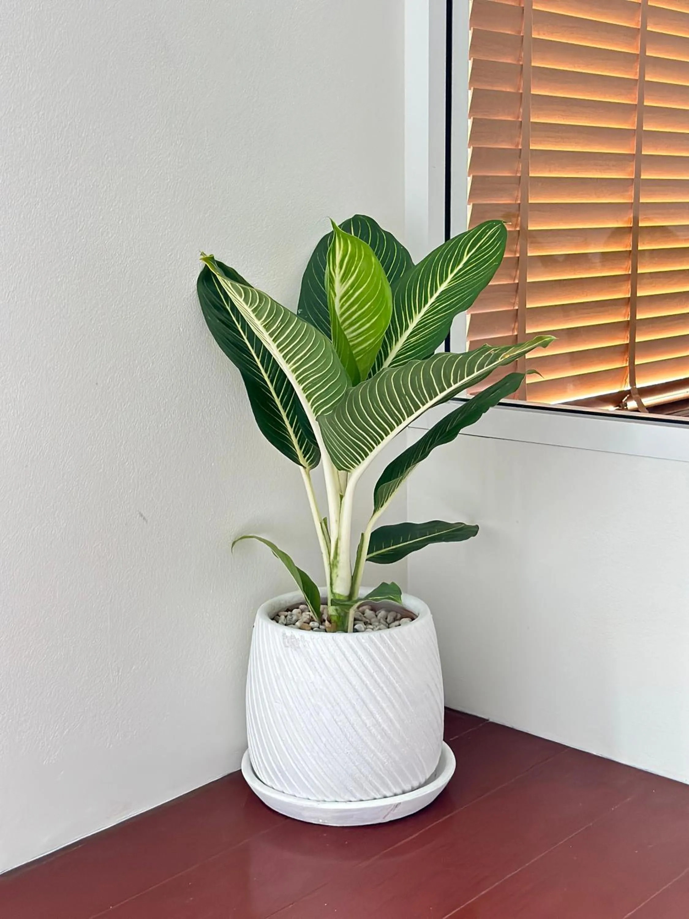 Decorative detail in PaperPlaneCNX @ Haiya - 3 Storey Flowery Loft