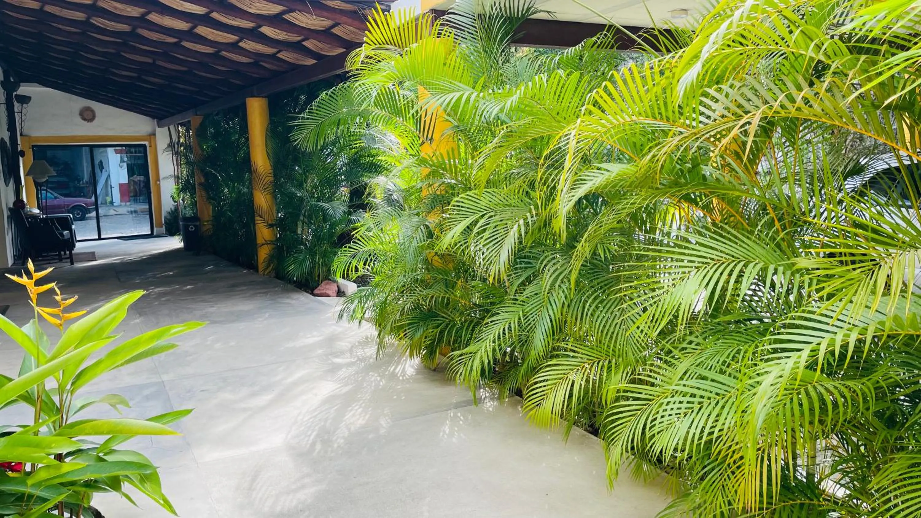 Natural landscape in Hotel Boutique Ixaya