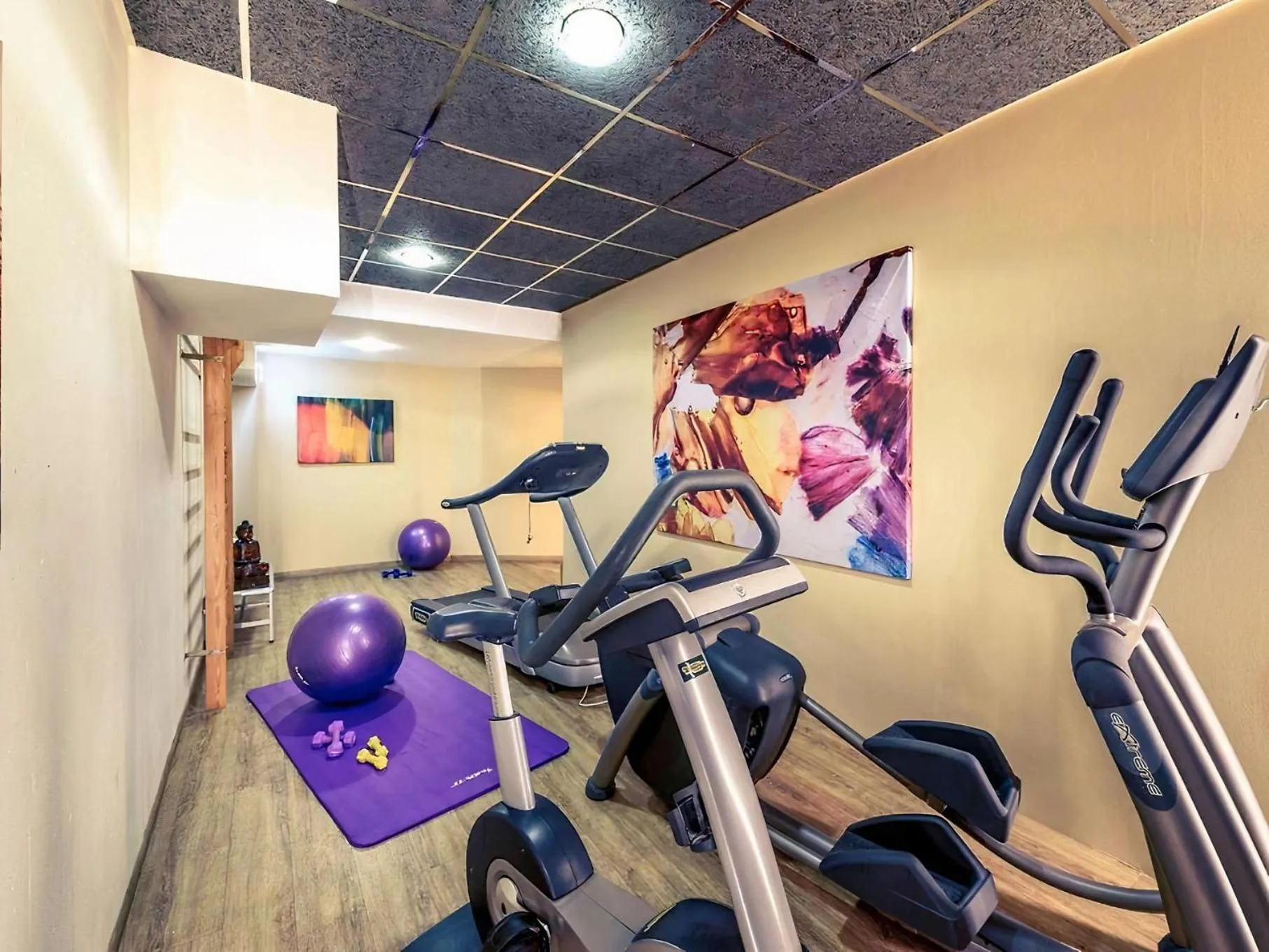 Fitness centre/facilities in PLAZA INN Regensburg
