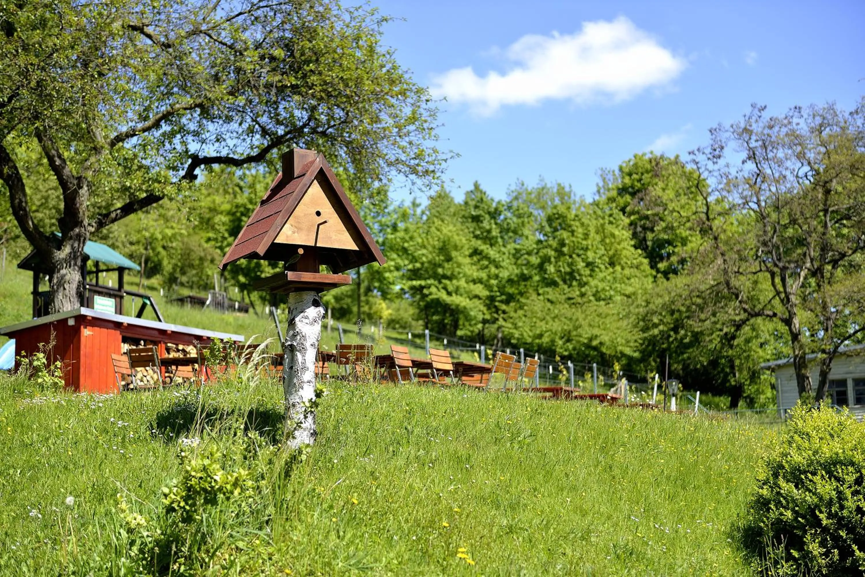 Summer in Land- und Golfhotel Alte Fliegerschule