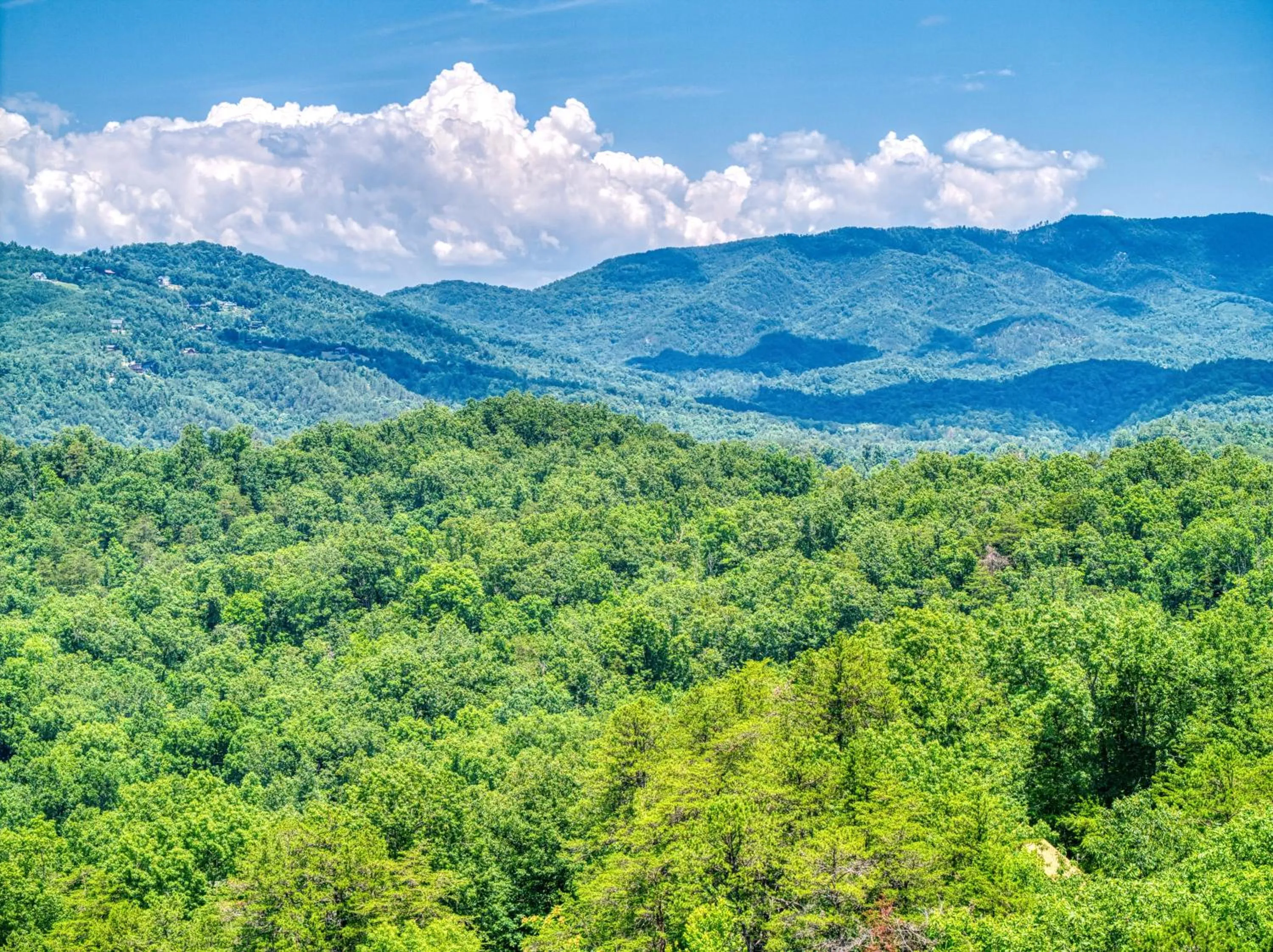 Bear Elegance - Theater Room, Secluded, Heart Shaped Tub!!!