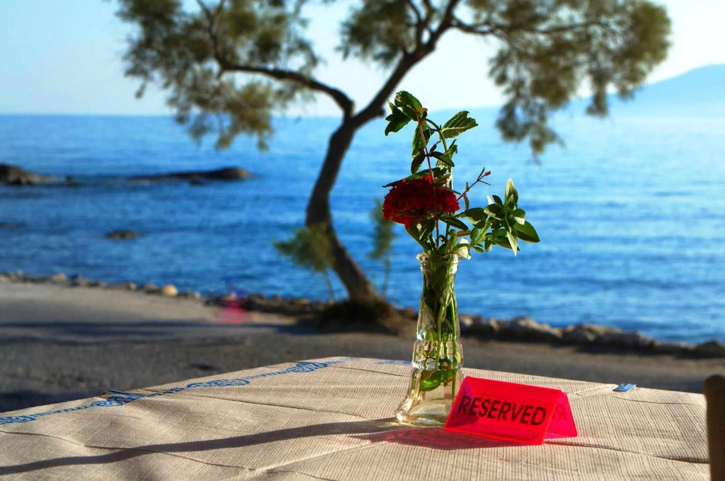 Restaurant/places to eat in Sunset