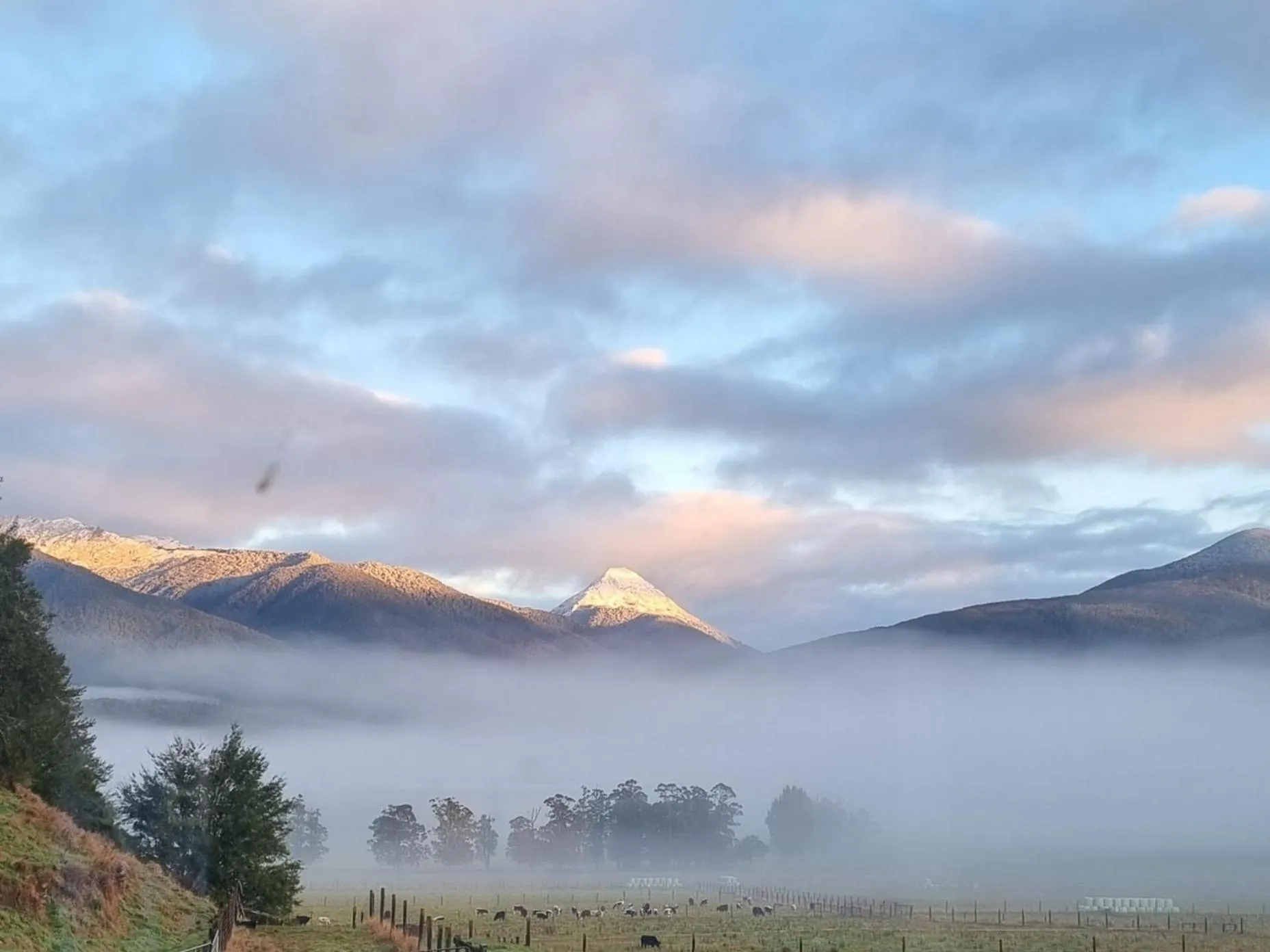 View (from property/room) in Lewis Pass Motels