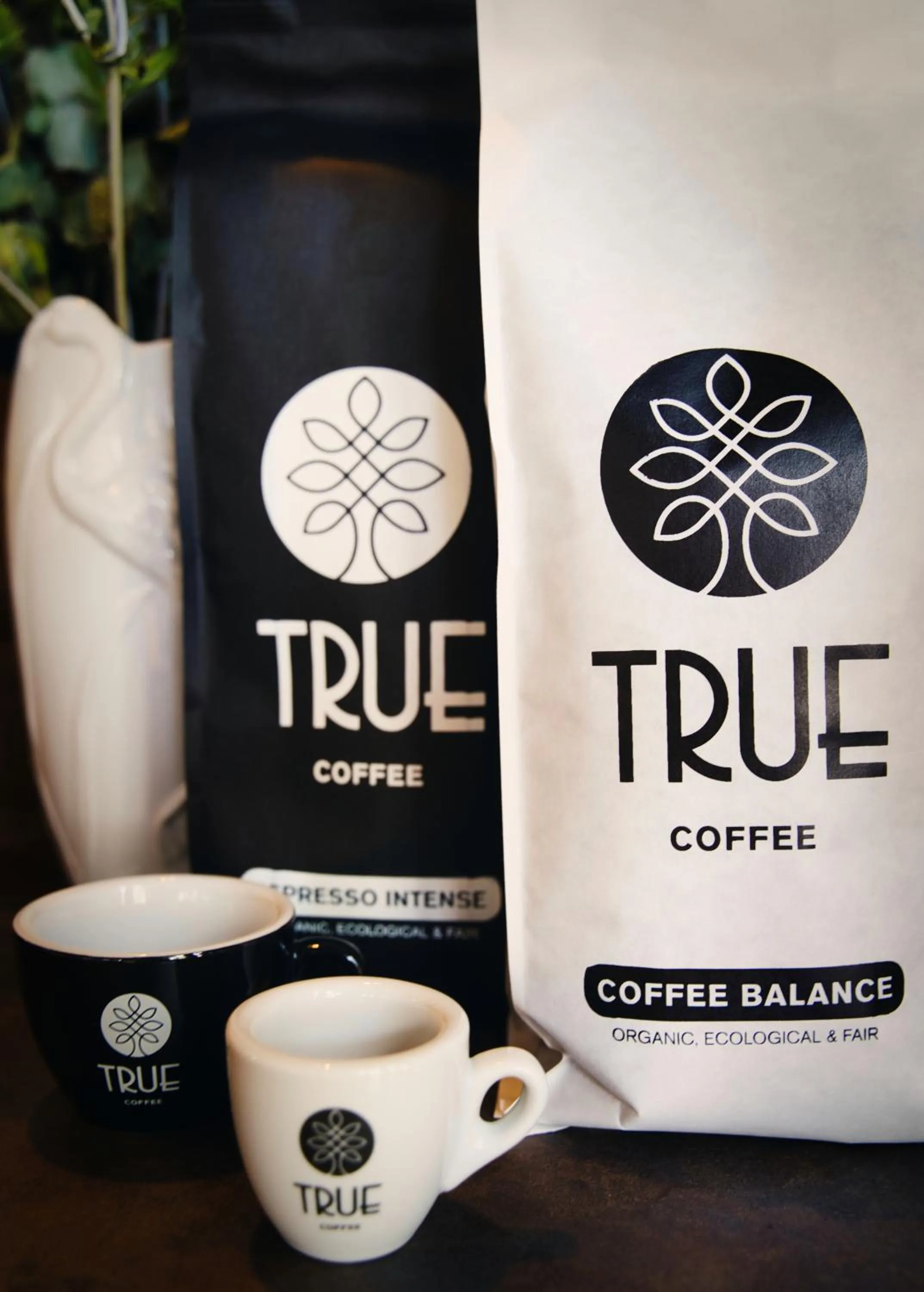 Boutique Hotel Villa Sarah