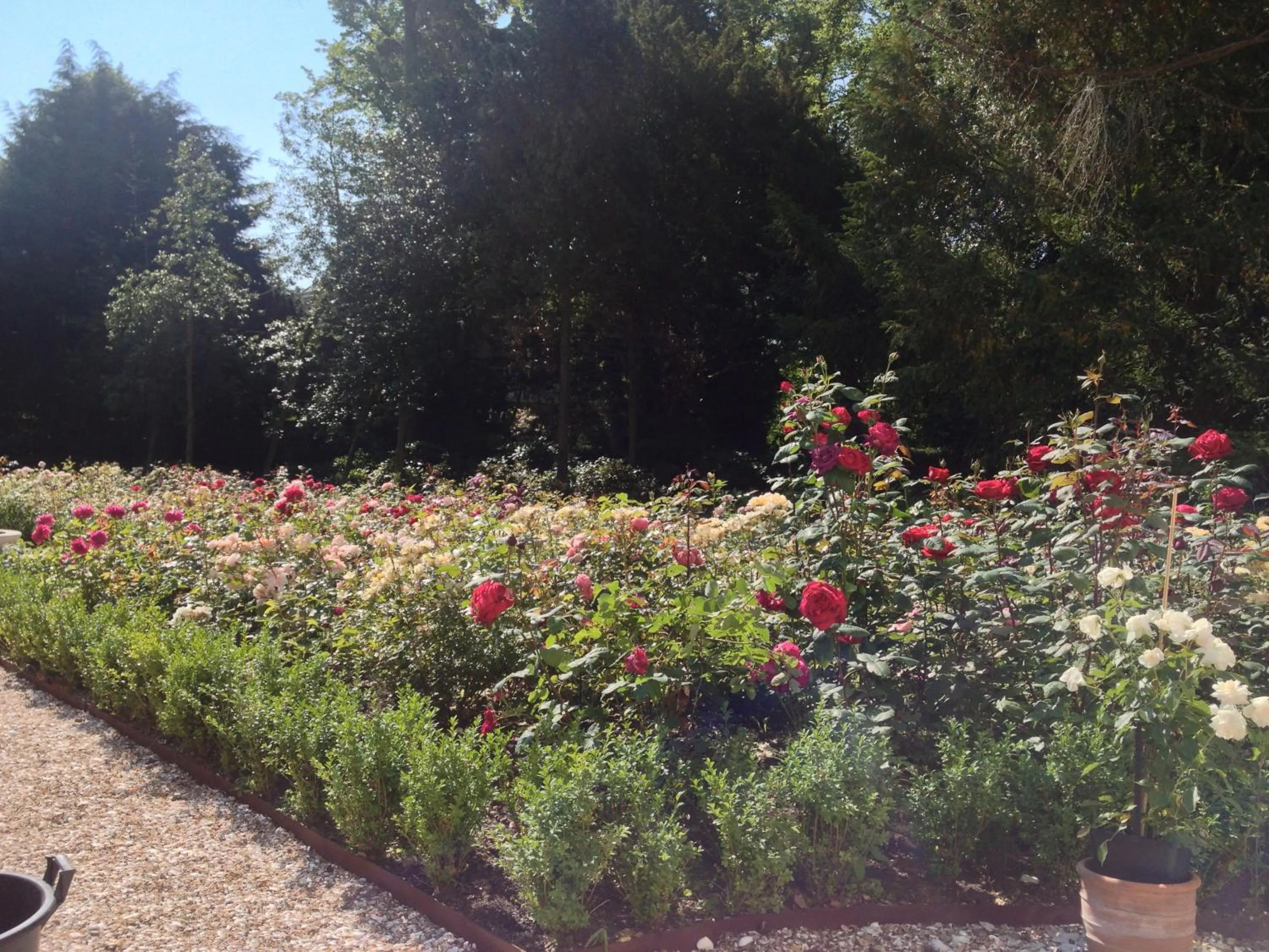 Garden in Elswoutshoek Suites