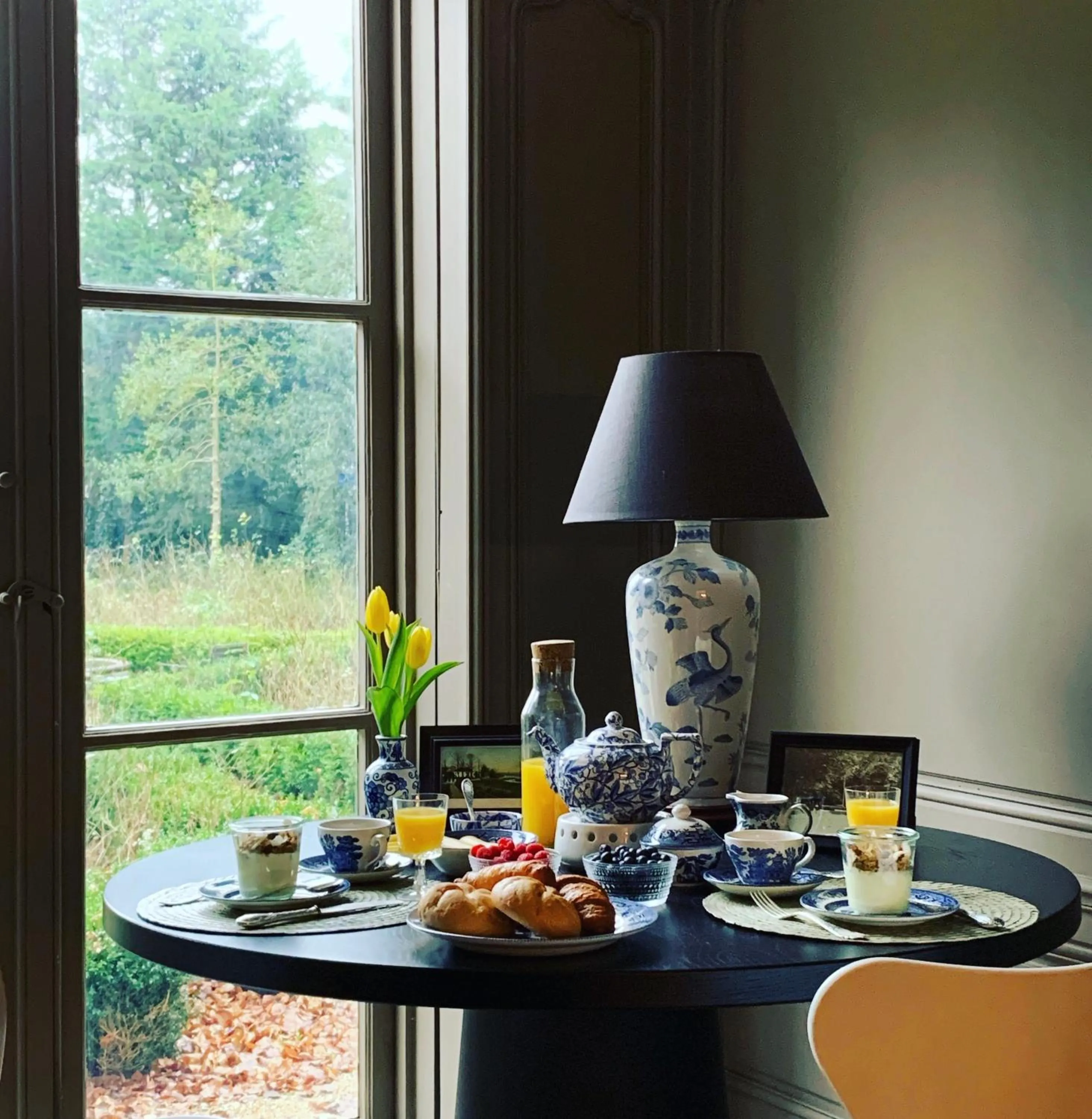 Garden view in Elswoutshoek Suites