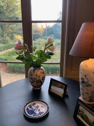 Garden view in Elswoutshoek Suites