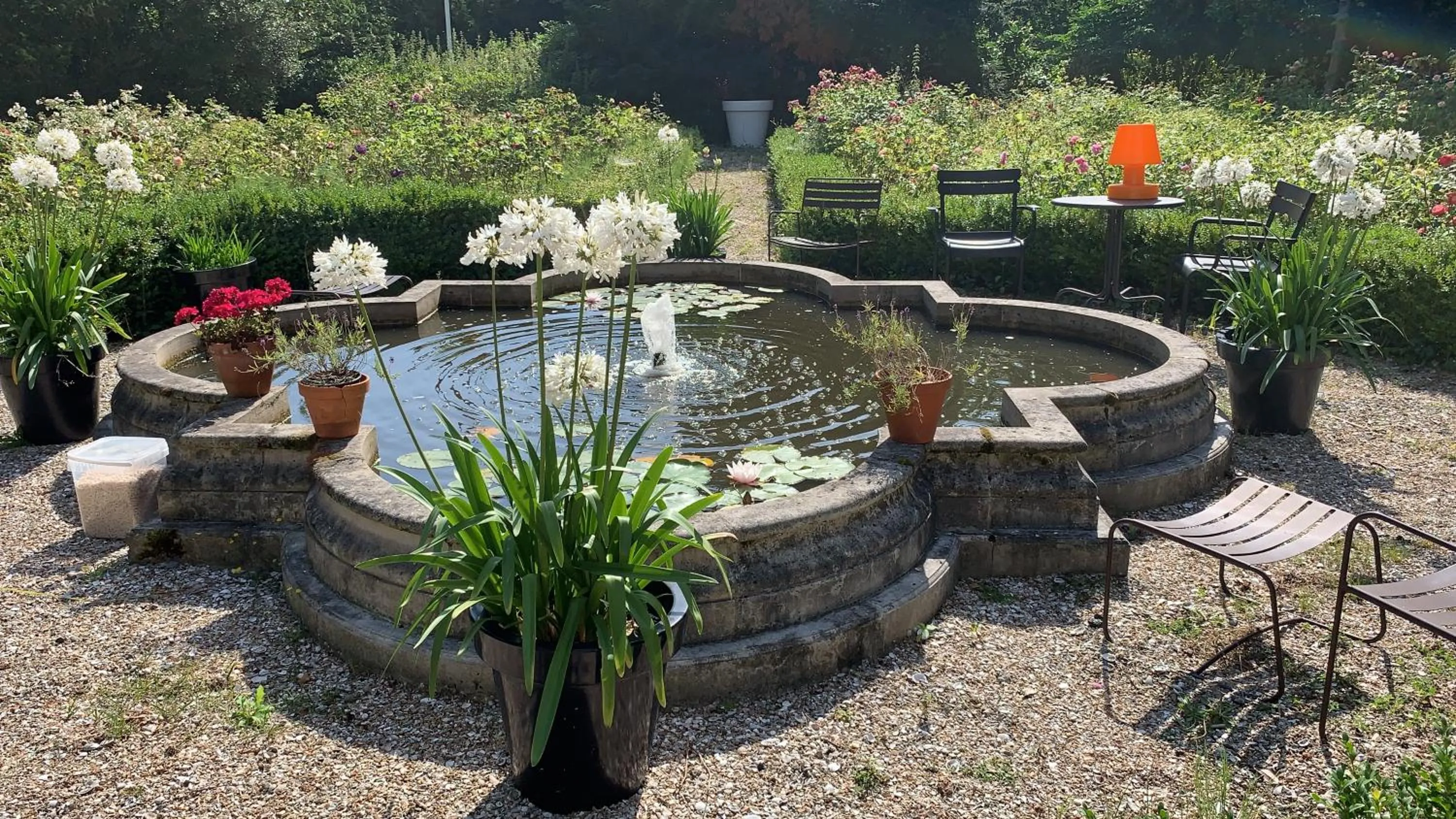 Garden in Elswoutshoek Suites