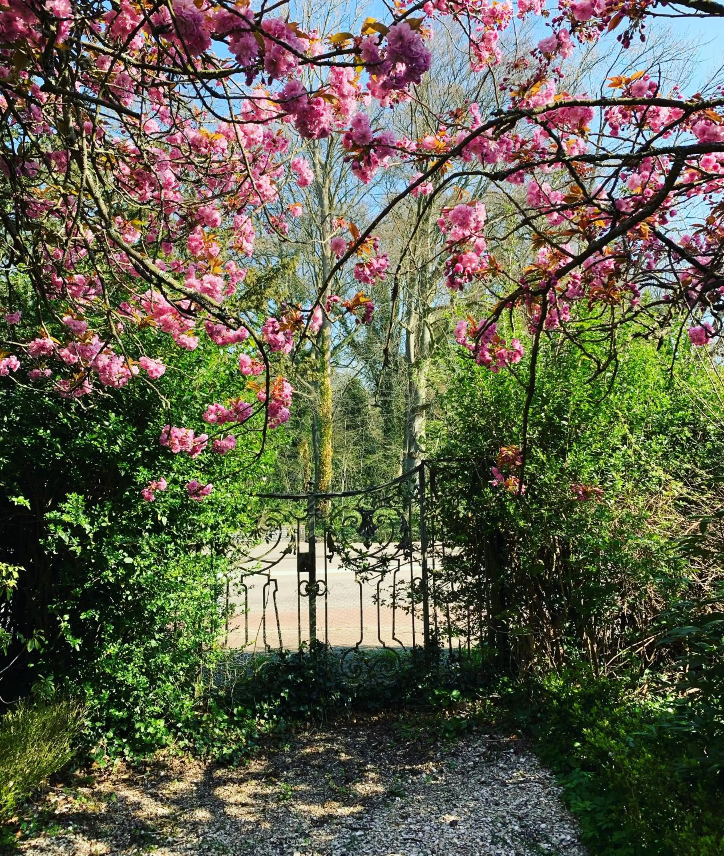Garden in Elswoutshoek Suites
