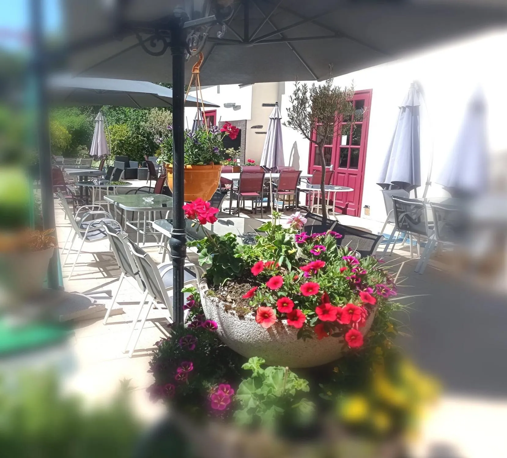 Property building in Logis Hôtel-Restaurant La Sapinière