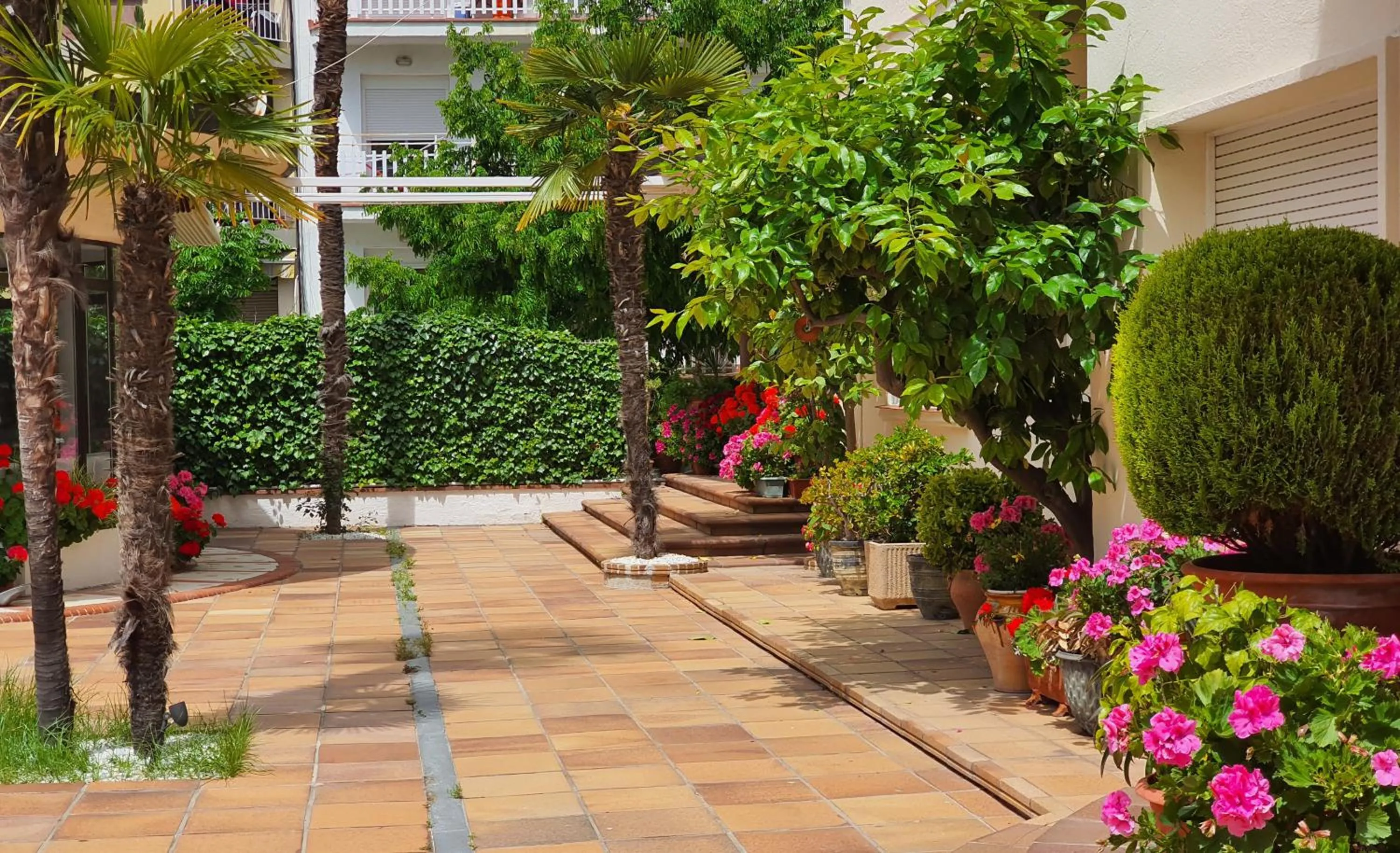 Garden in Hotel Mireia