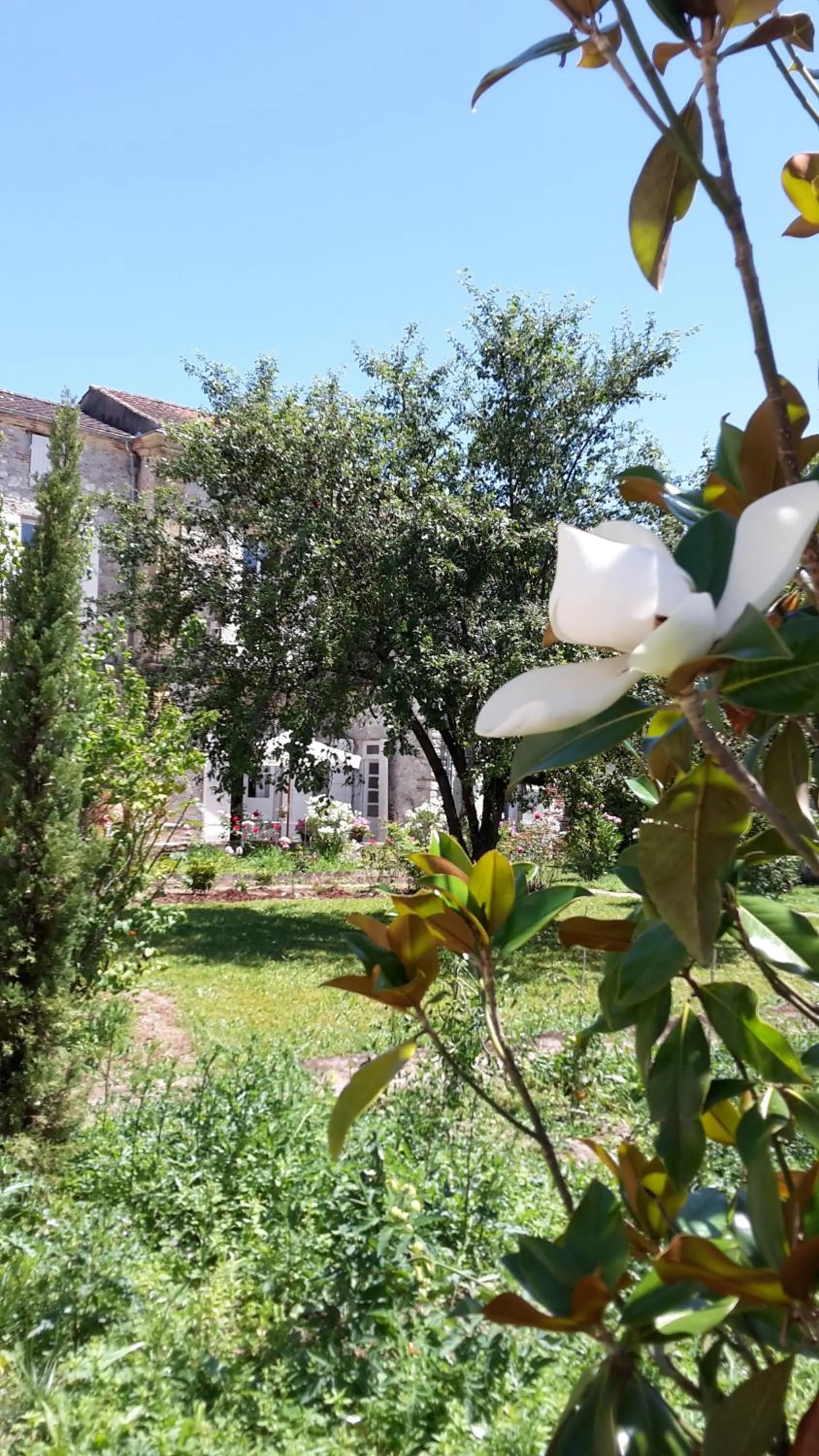 Garden view in L'Ecrin