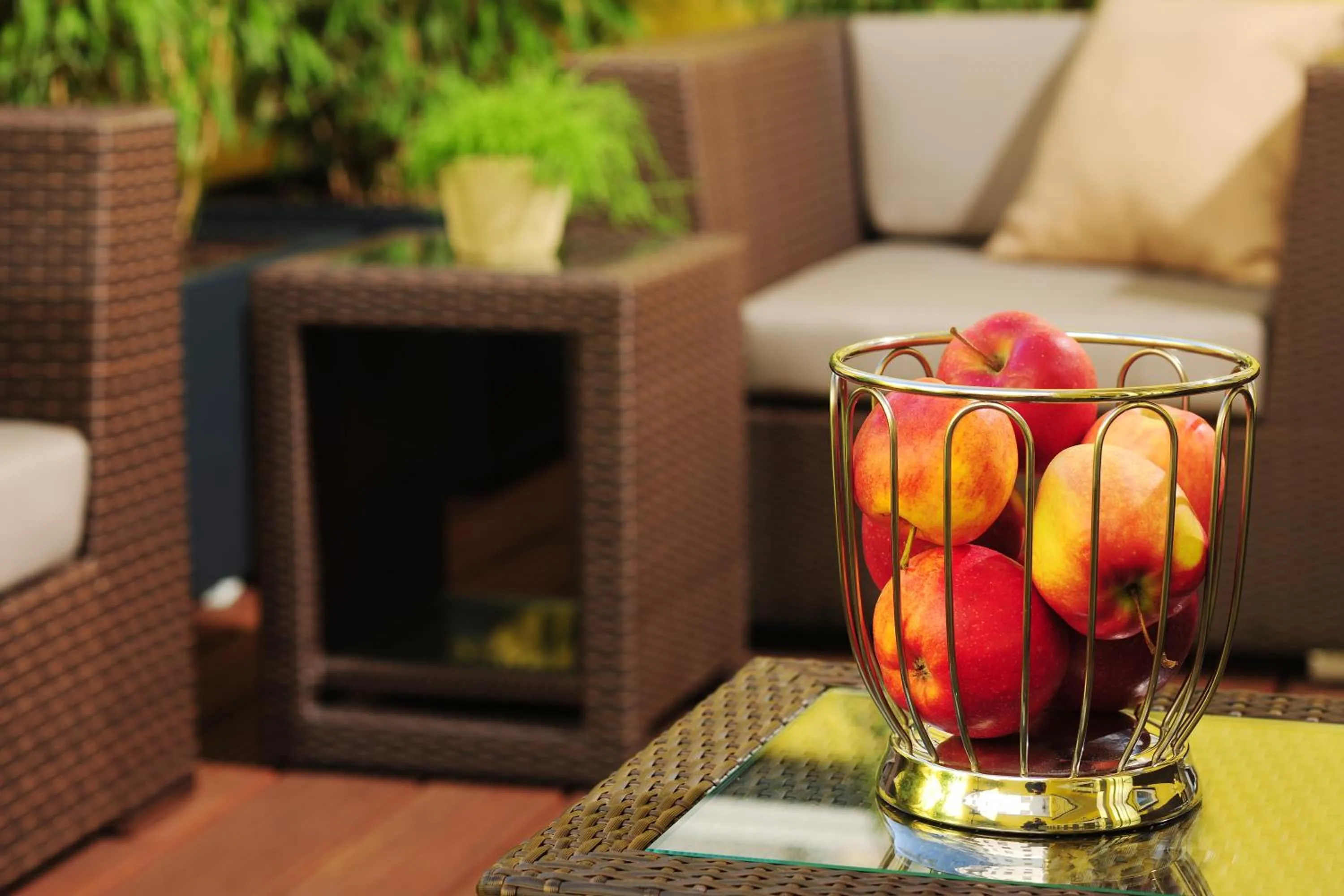 Balcony/Terrace in GuestHouse Mainz