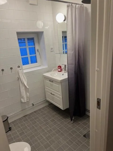 Toilet in Vasacenter B&B