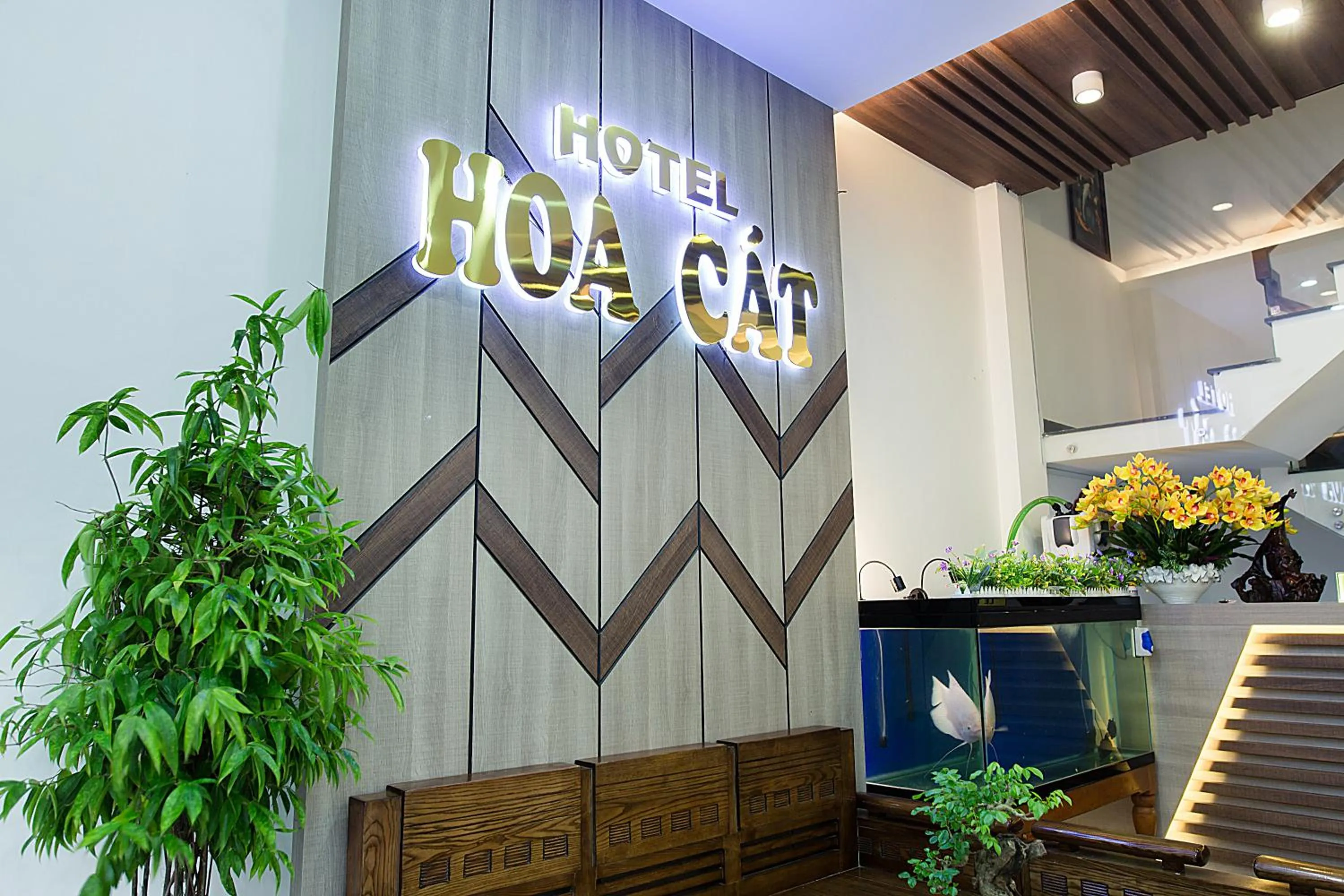 Lobby or reception in Hoa Cát Hotel