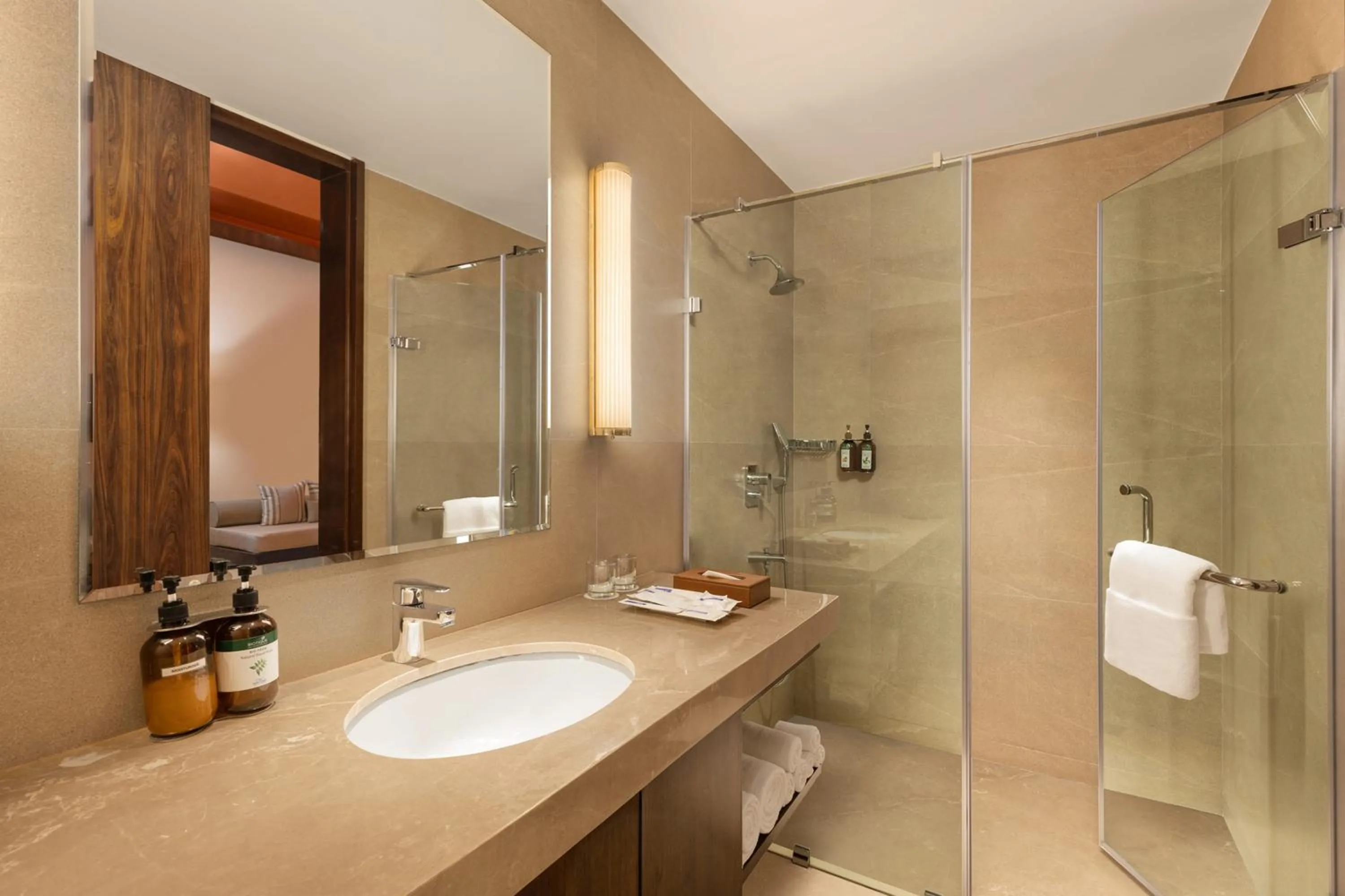 Bathroom in Marasa Sarovar Premiere, Bodhgaya