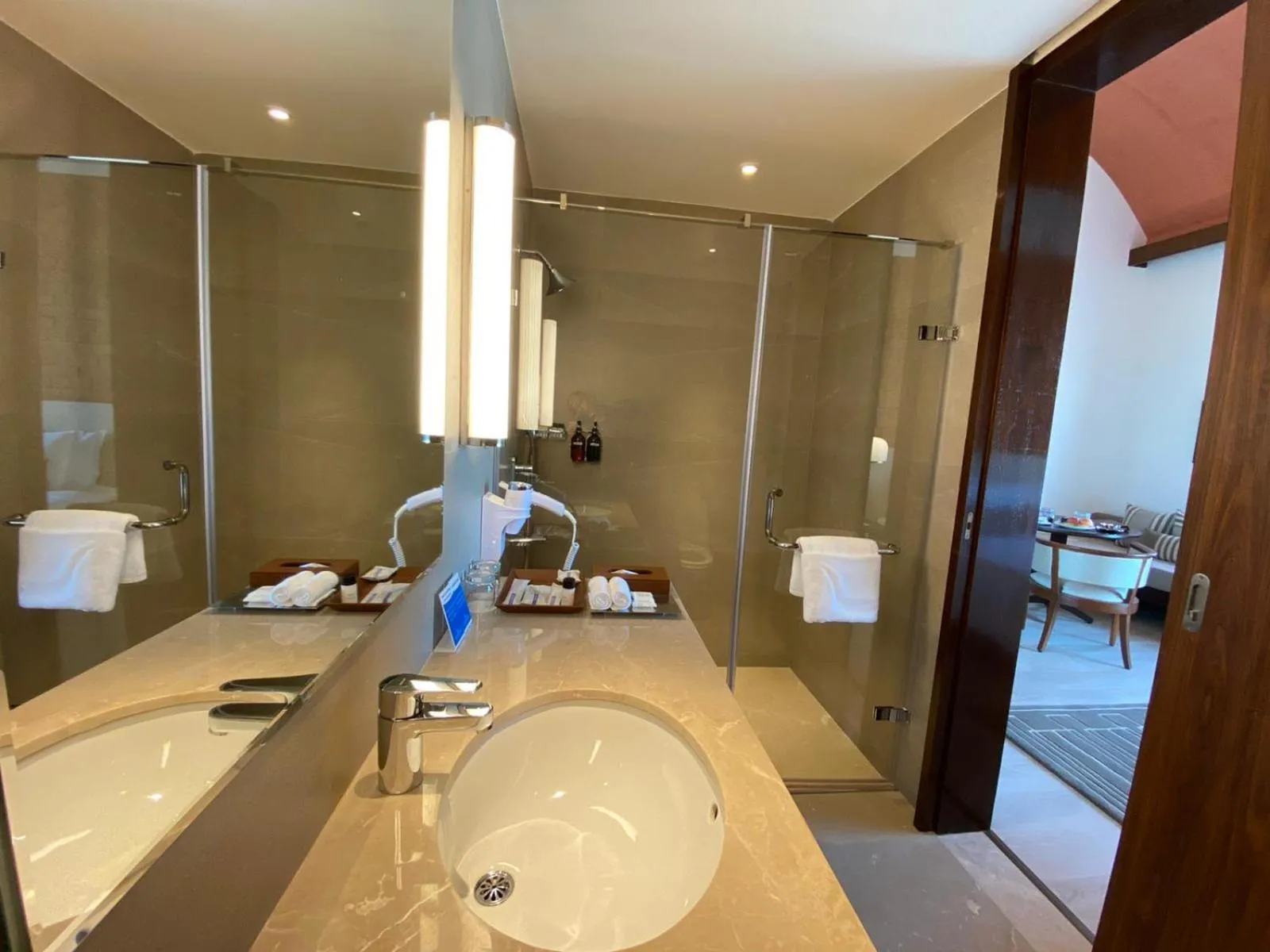 Bathroom in Marasa Sarovar Premiere, Bodhgaya