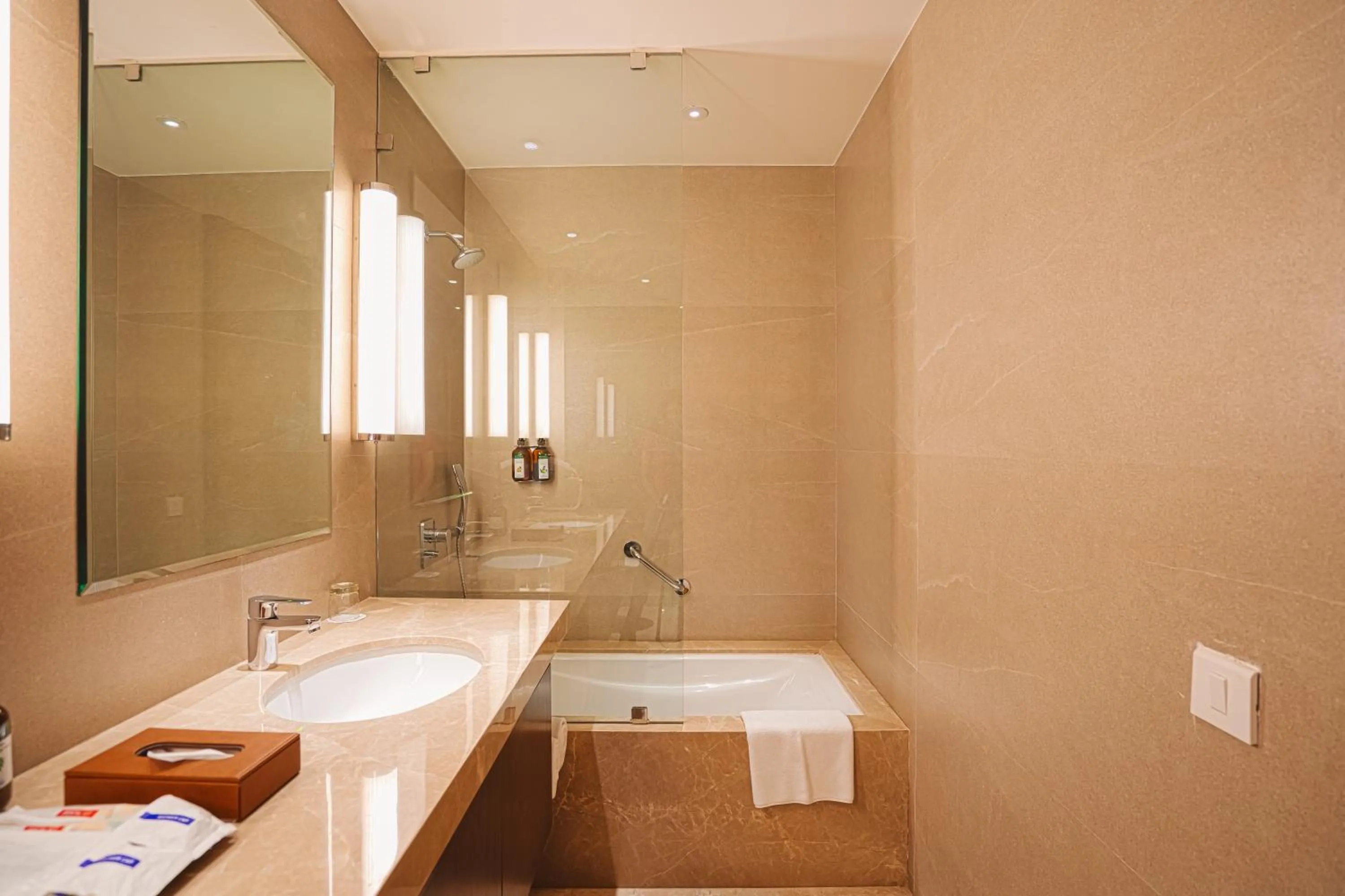 Toilet in Marasa Sarovar Premiere, Bodhgaya