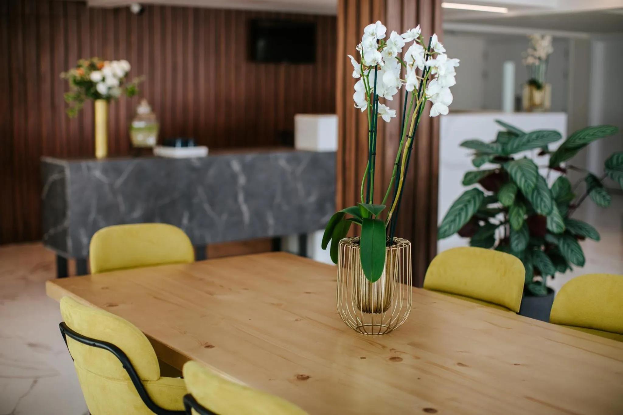 Lobby or reception in Cosmo Napa Boutique Hotel