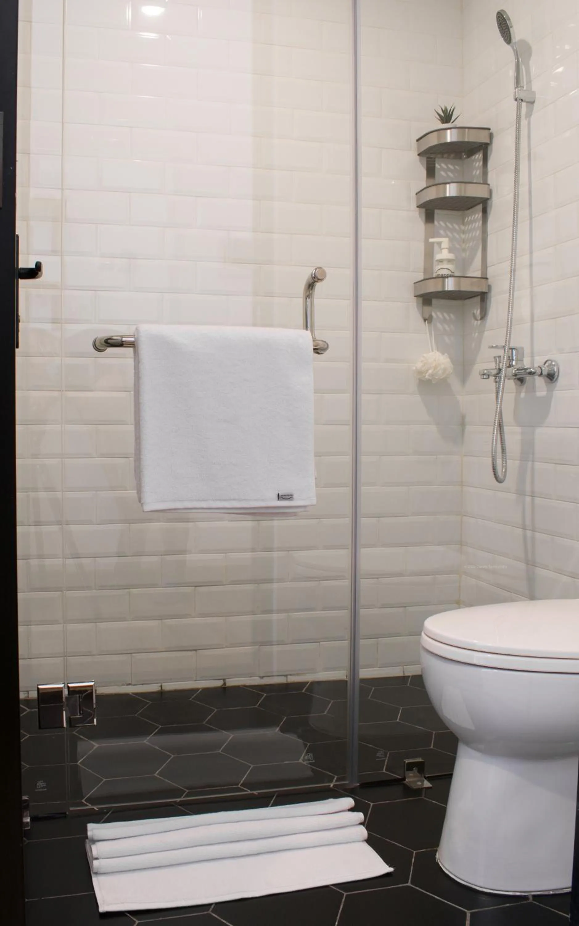 Toilet in Rumanami Residence