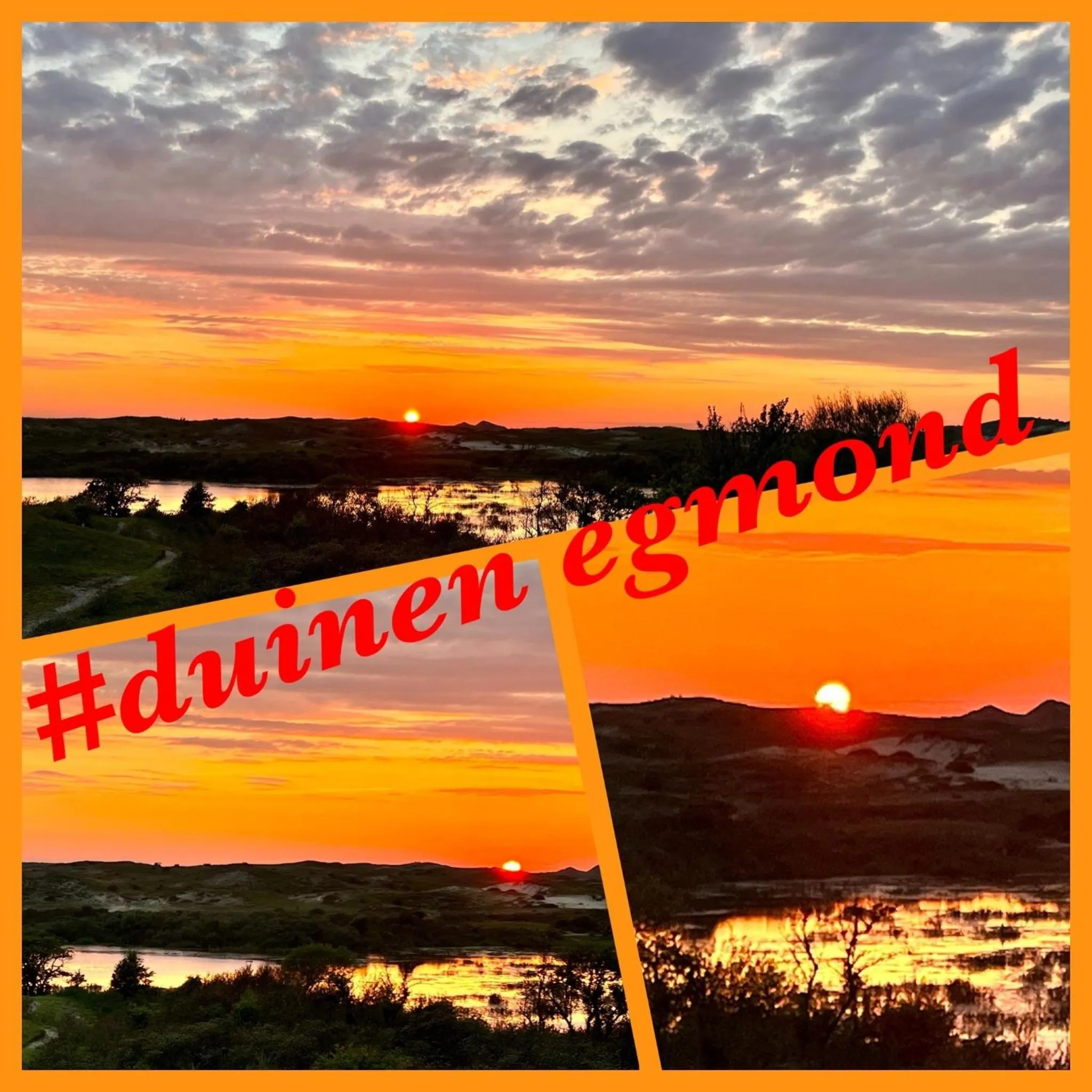 Natural landscape in B&B Joeys place