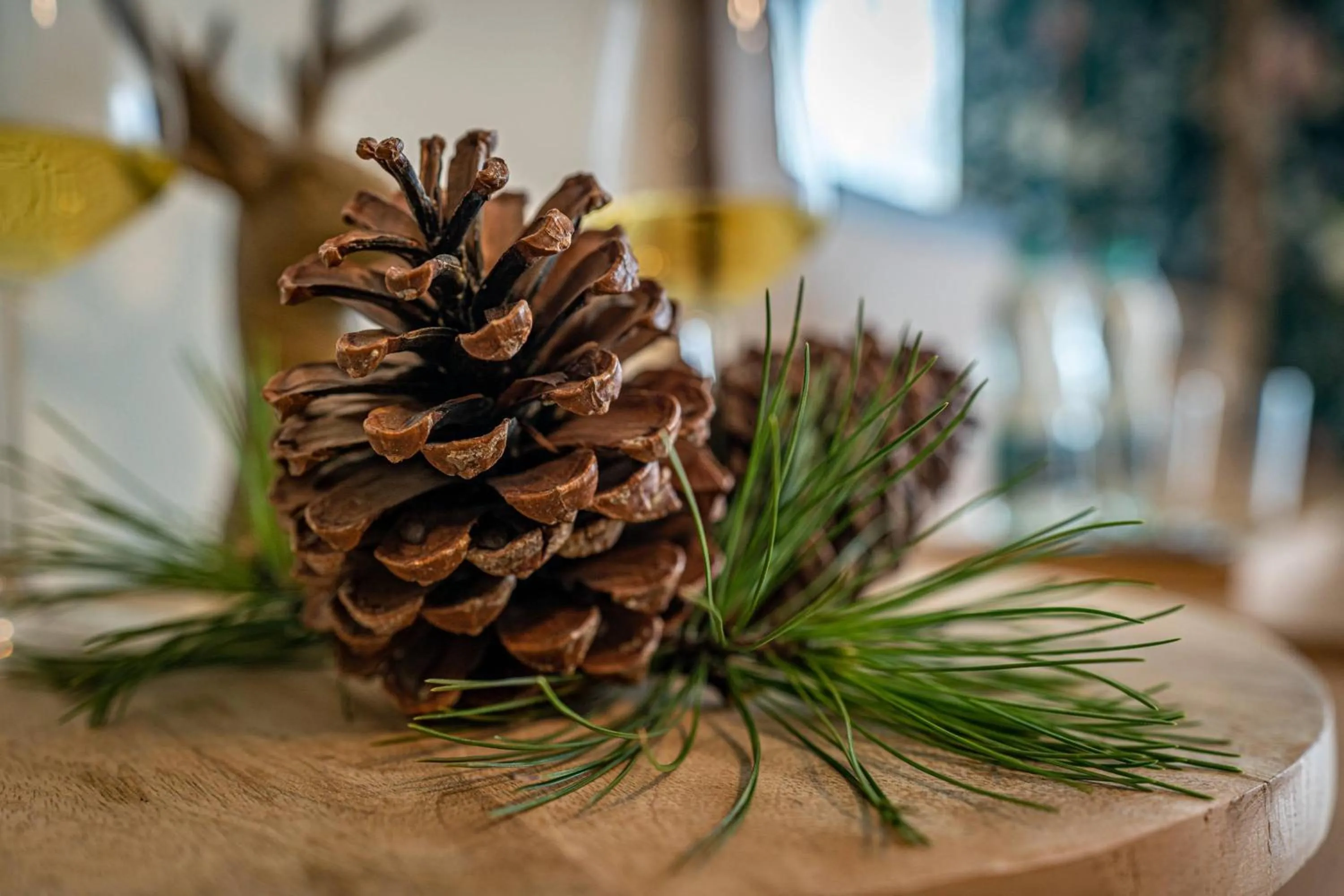 Other in Rezydencja Markowy Dworek