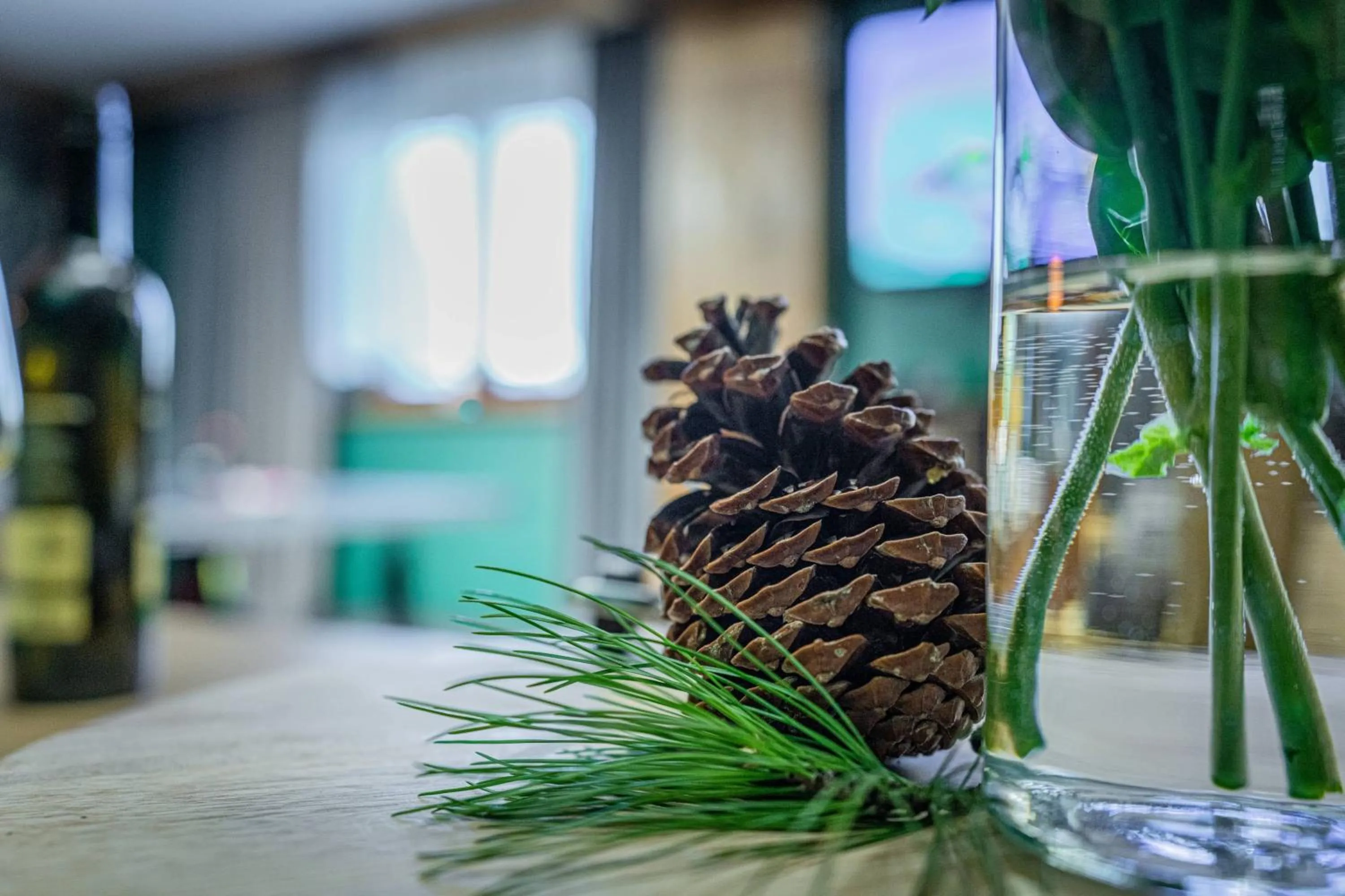 Communal lounge/ TV room in Rezydencja Markowy Dworek