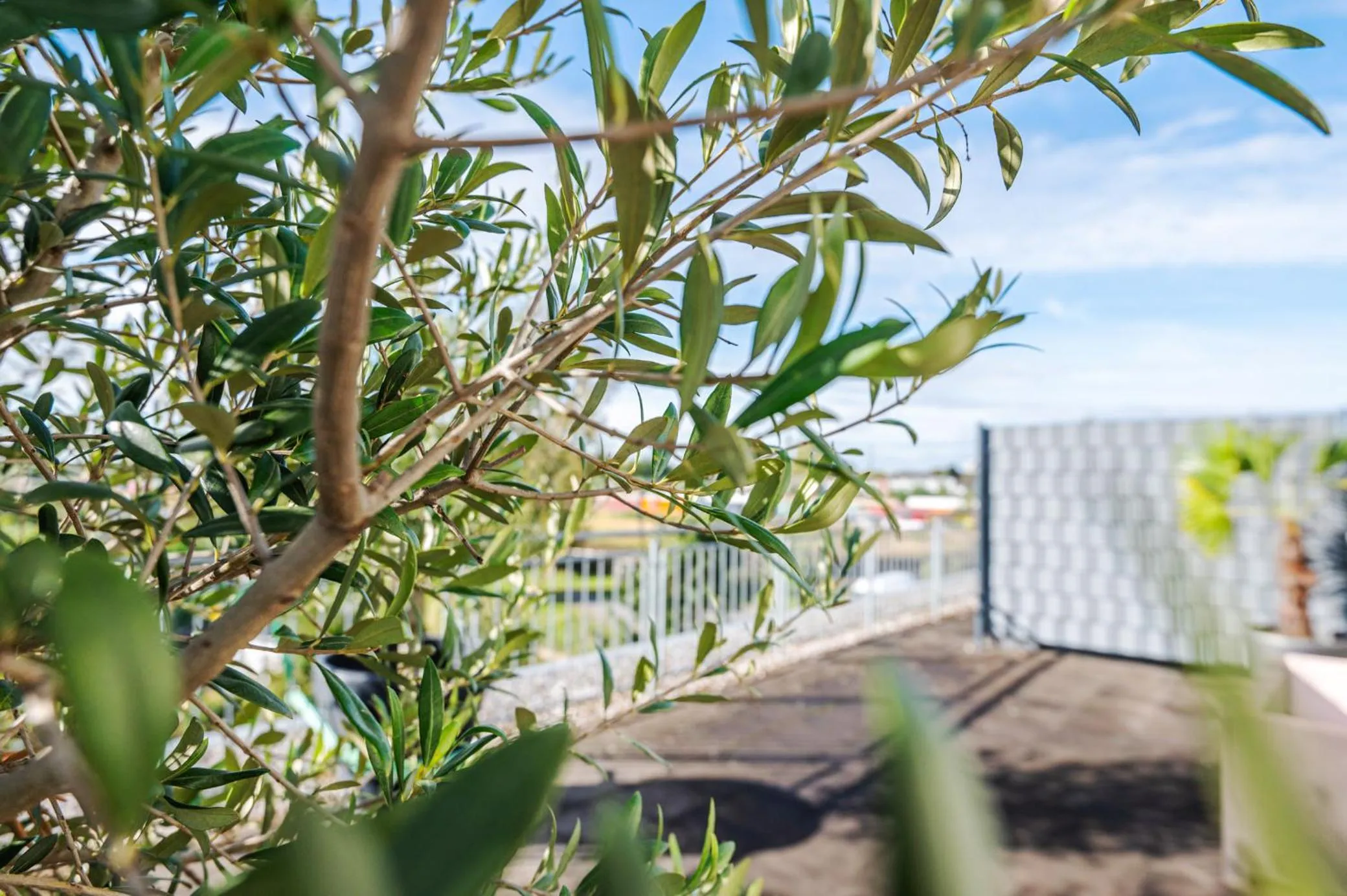 Photo of the whole room in PhiLeRo Hotel Köln