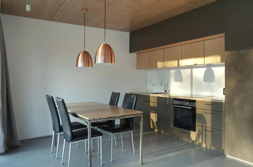 Kitchen or kitchenette in Design Ferienwohnung nienrausch Apartment 1