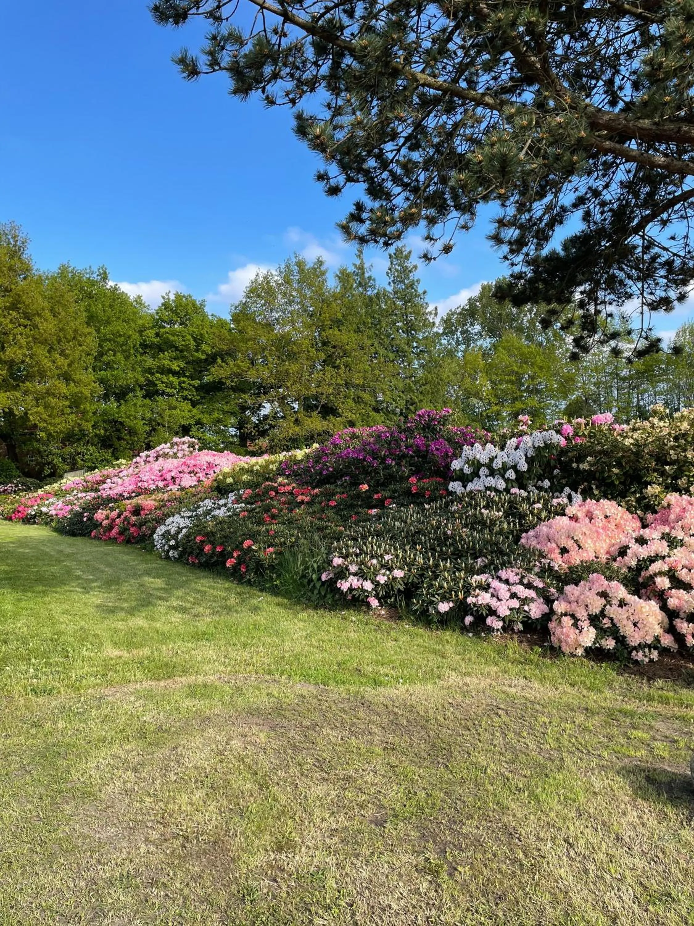 Natural landscape in Das Schokoladenhotel