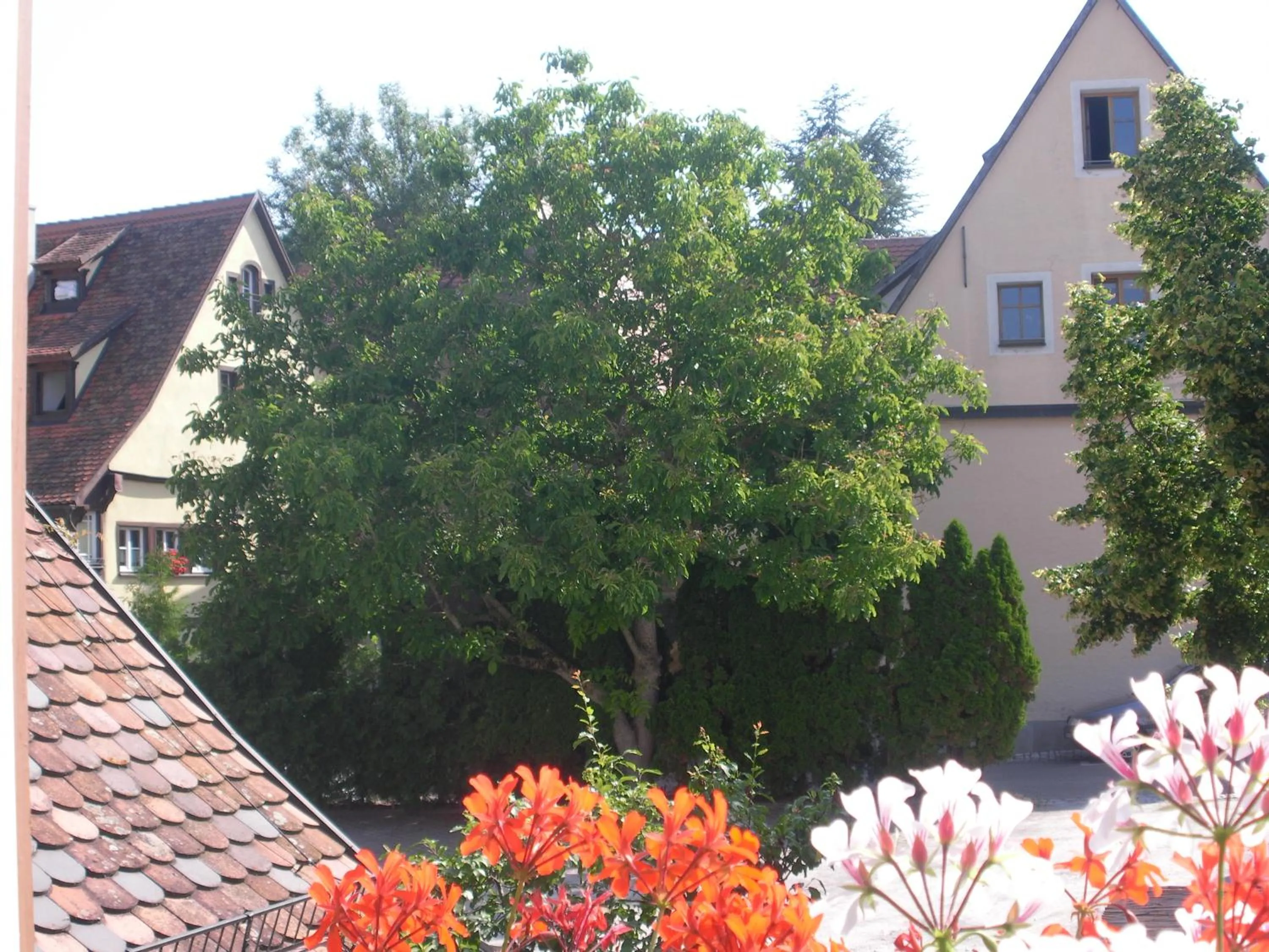 Spring in Akzent Hotel Schranne