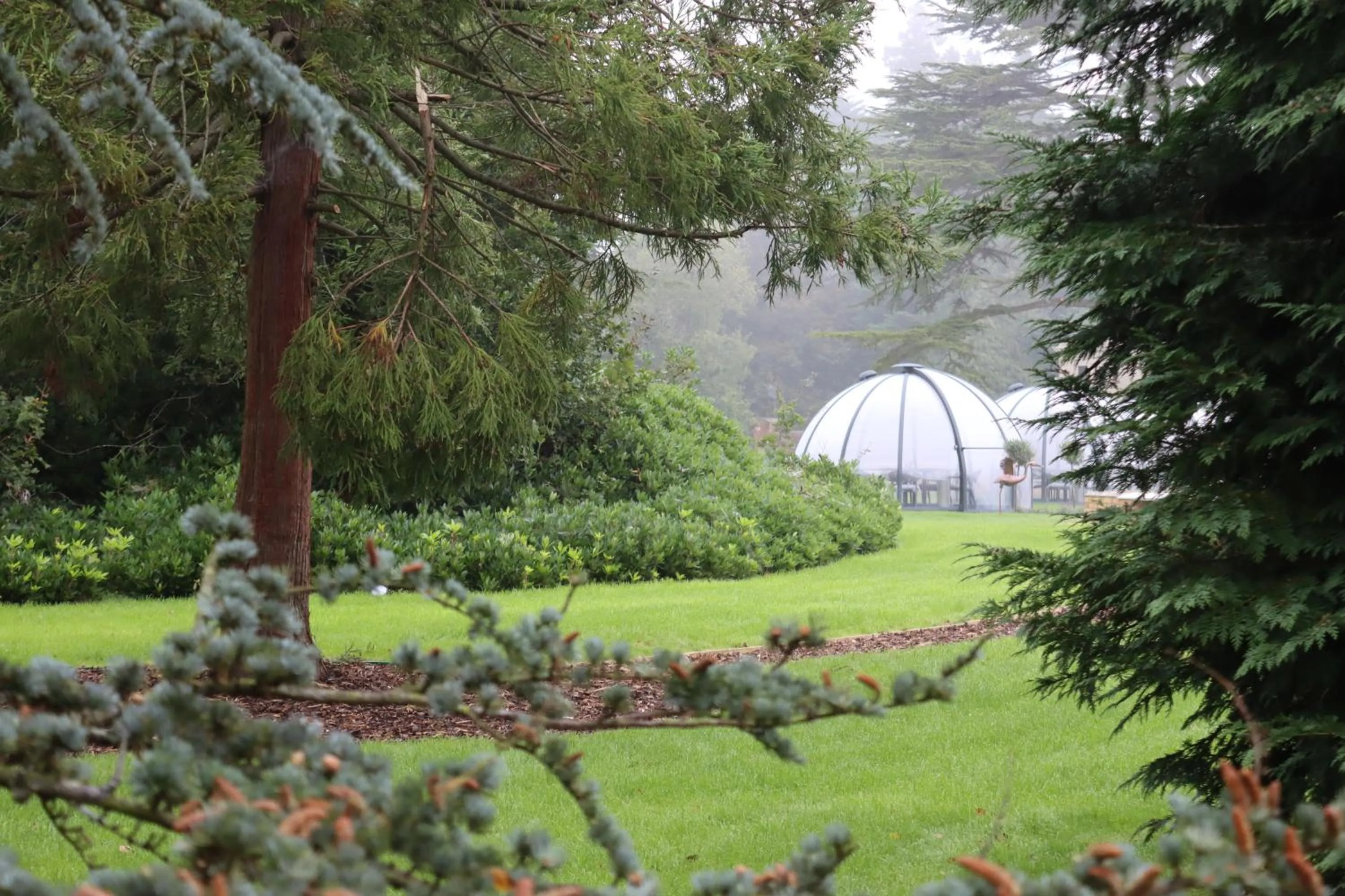 Garden view in Orange Grove Hotel & Gardens