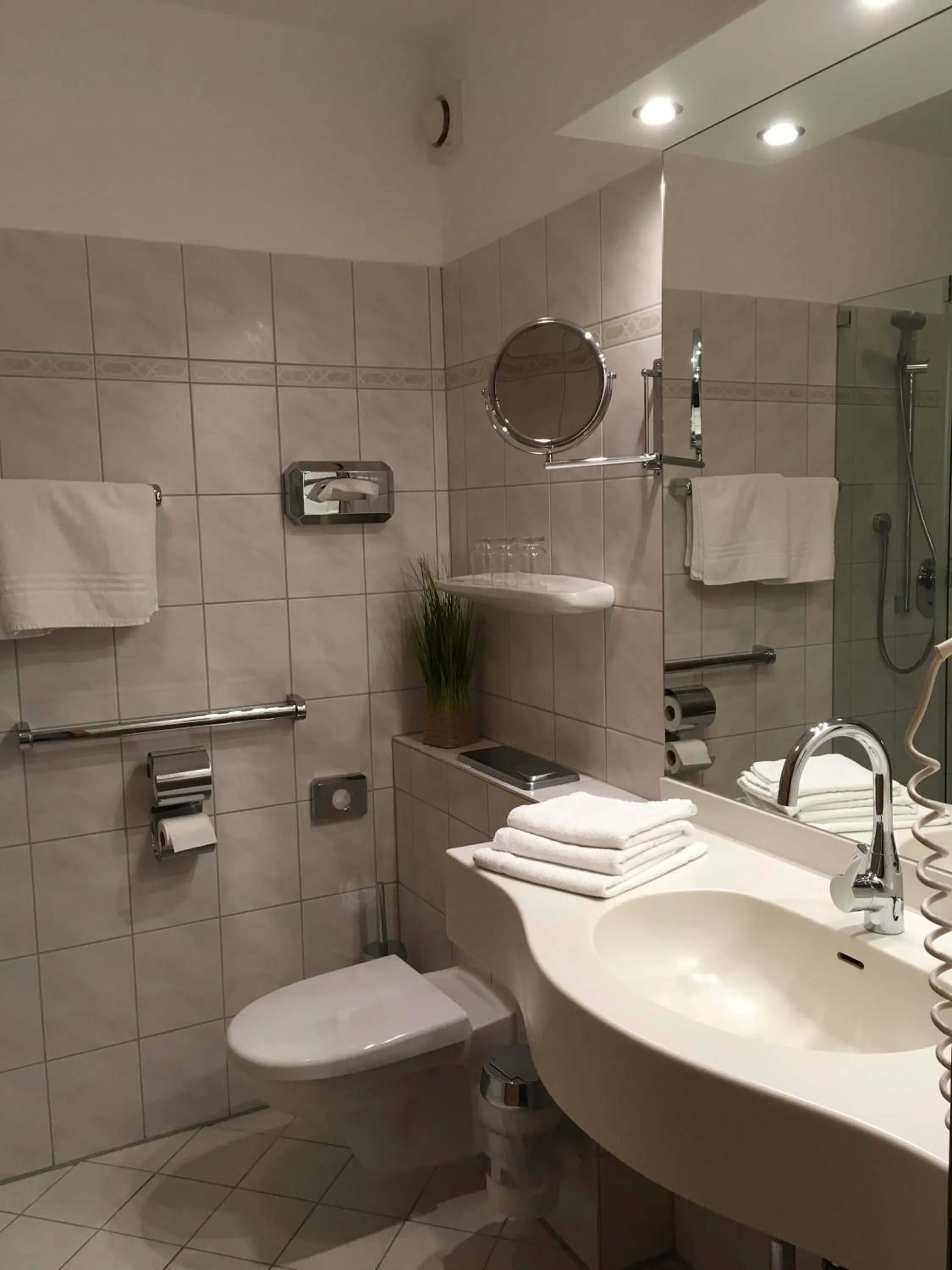 Bathroom in Flair Landhotel Strengliner Mühle
