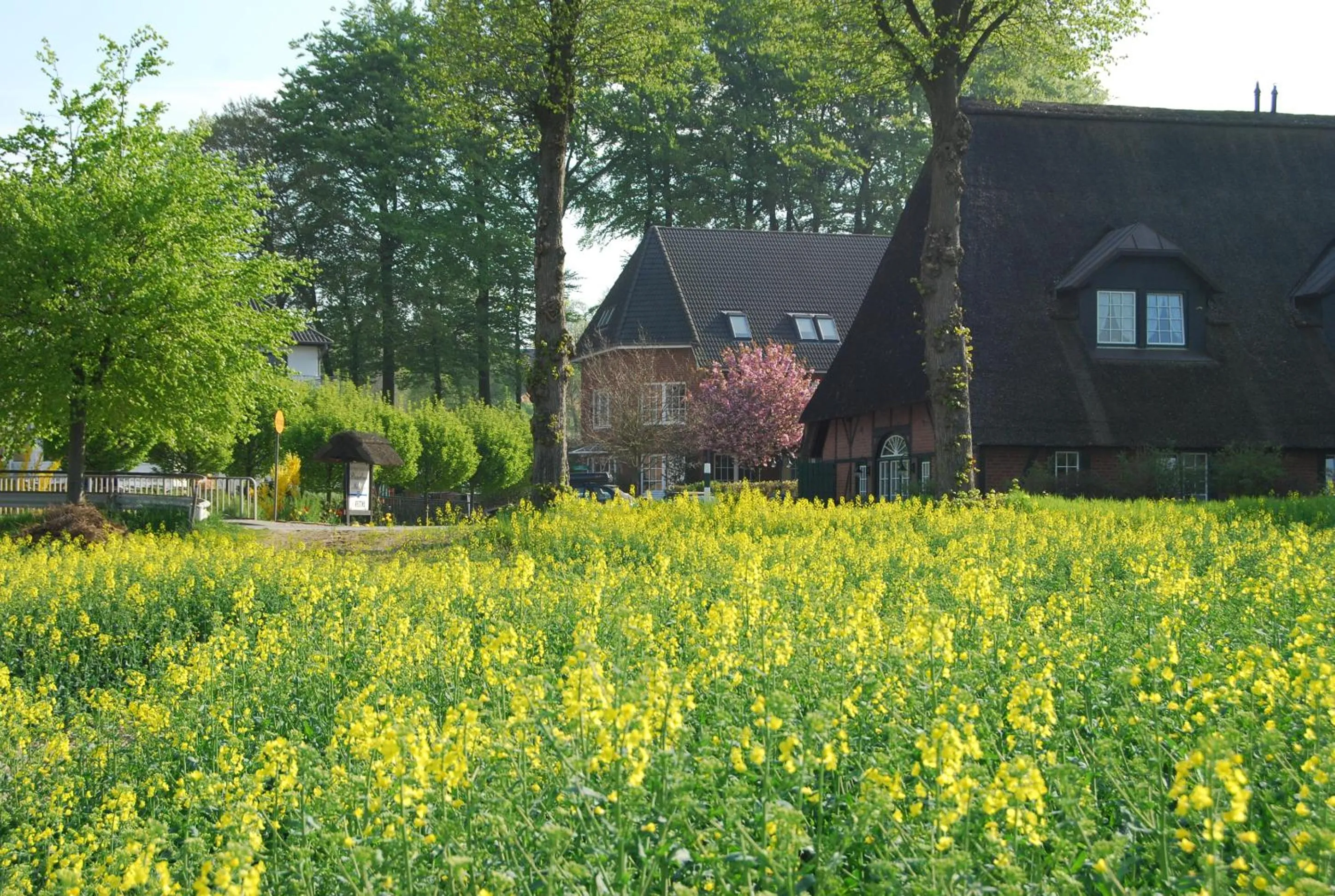 Property building in Flair Landhotel Strengliner Mühle