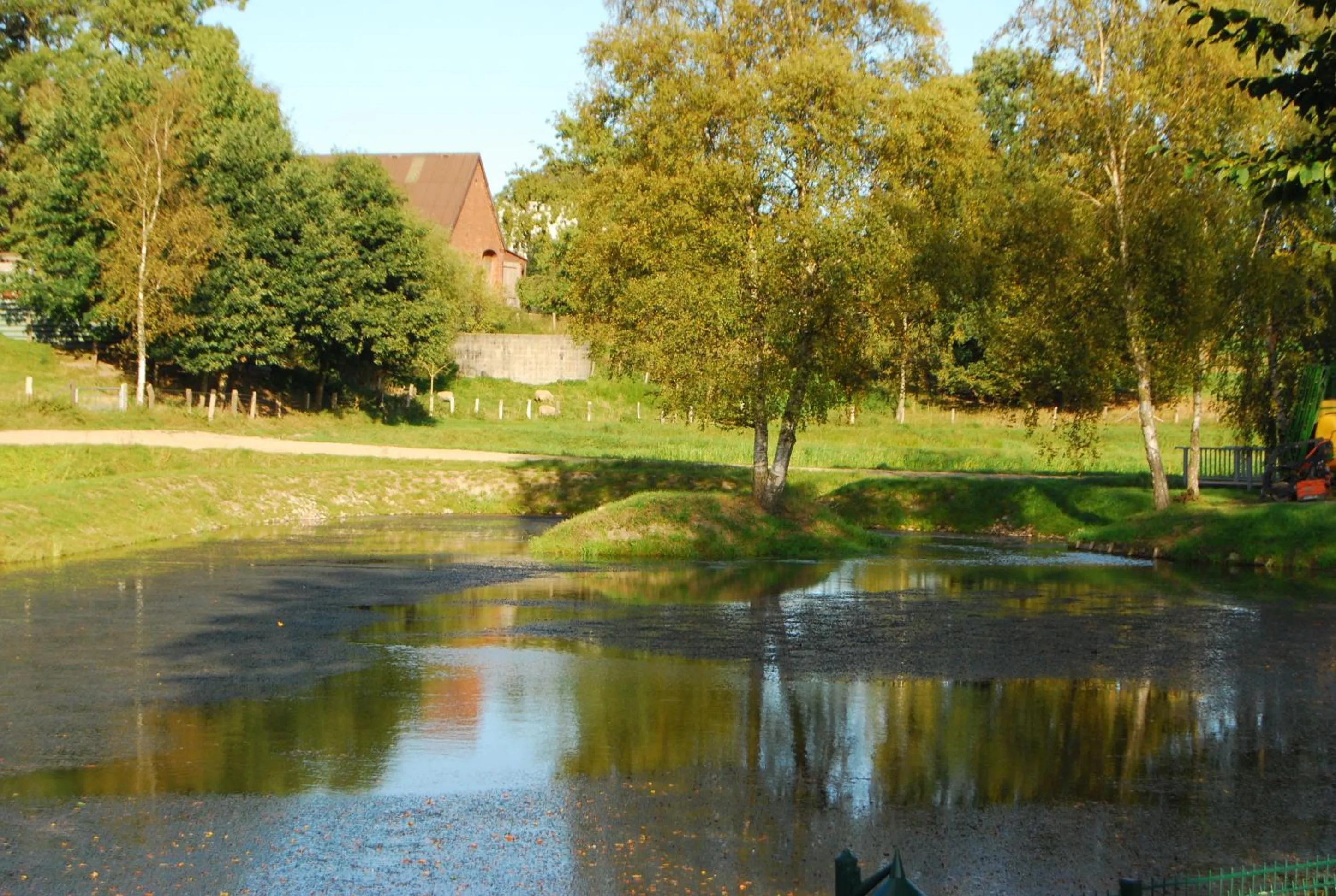 Natural landscape in Flair Landhotel Strengliner Mühle