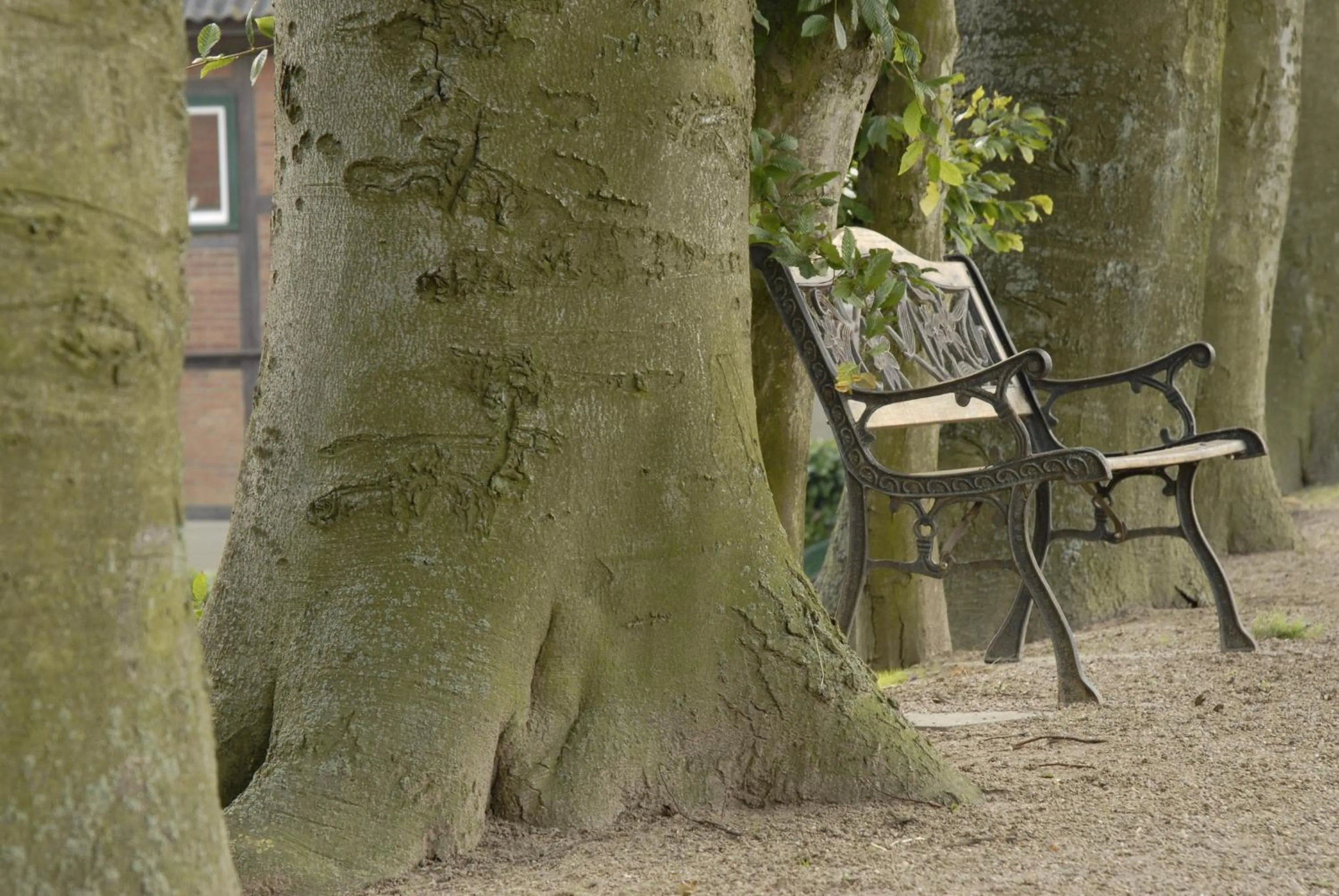 Patio in Flair Landhotel Strengliner Mühle