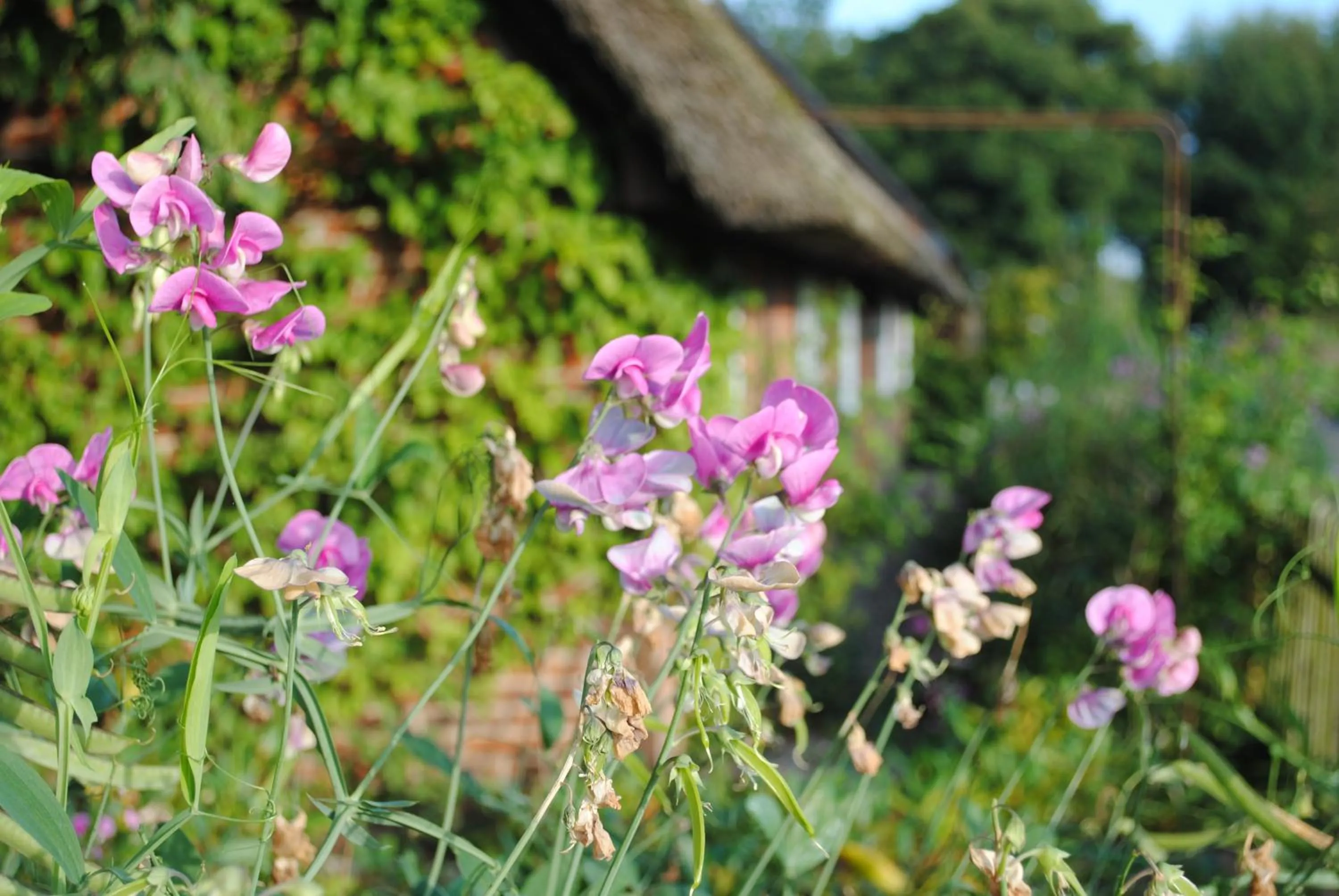 Cycling in Flair Landhotel Strengliner Mühle