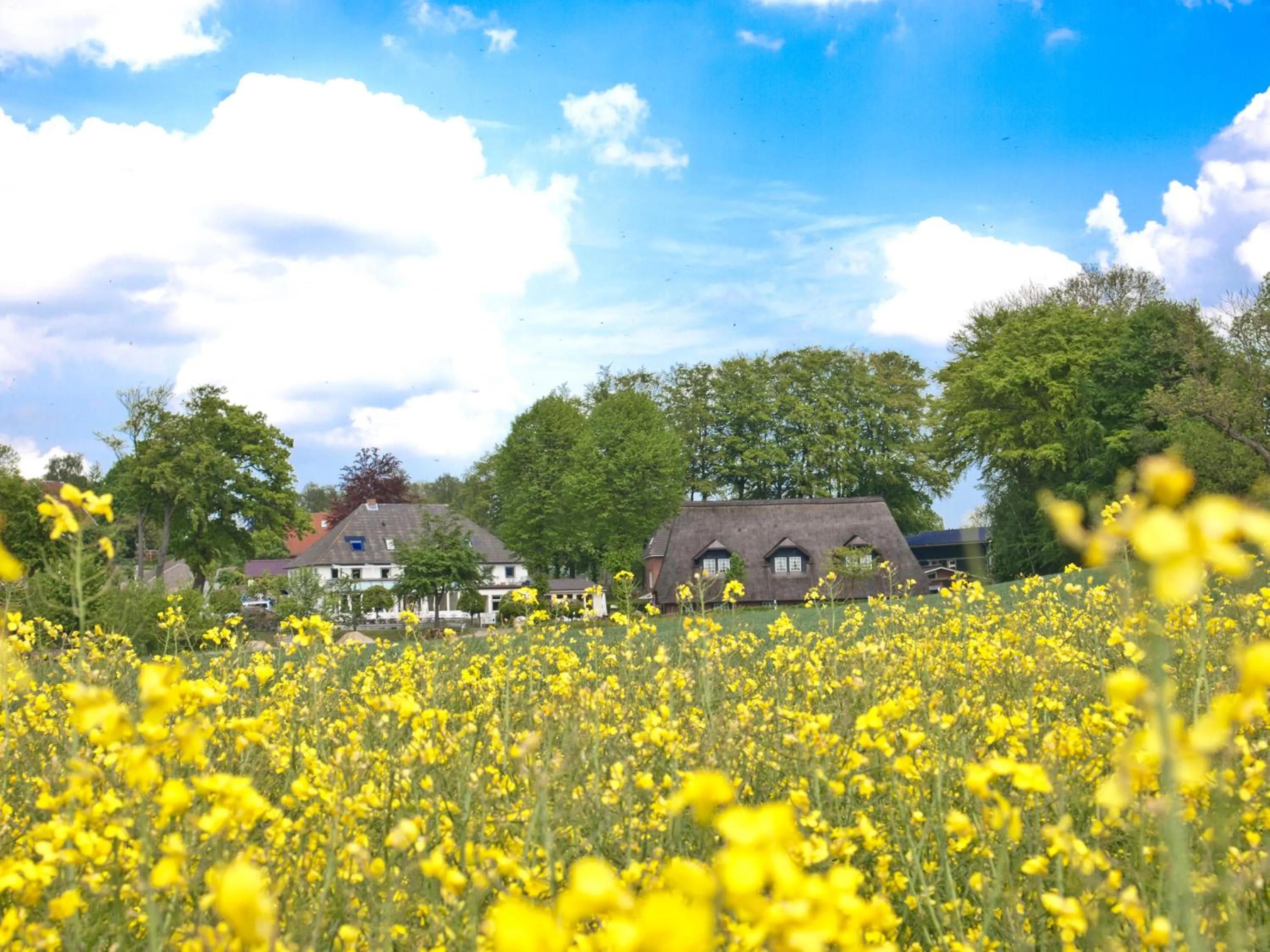 Property building in Flair Landhotel Strengliner Mühle