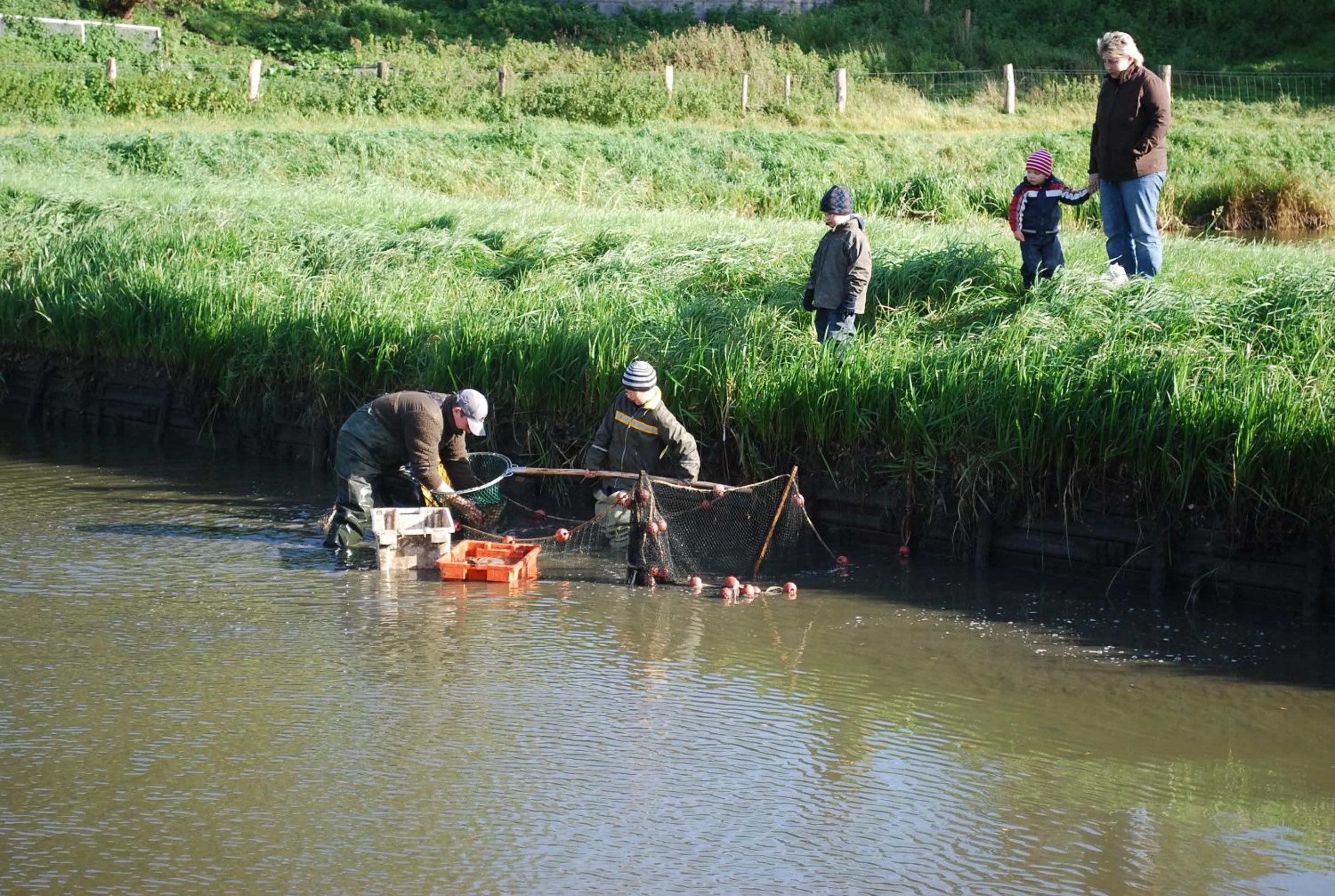 Entertainment in Flair Landhotel Strengliner Mühle