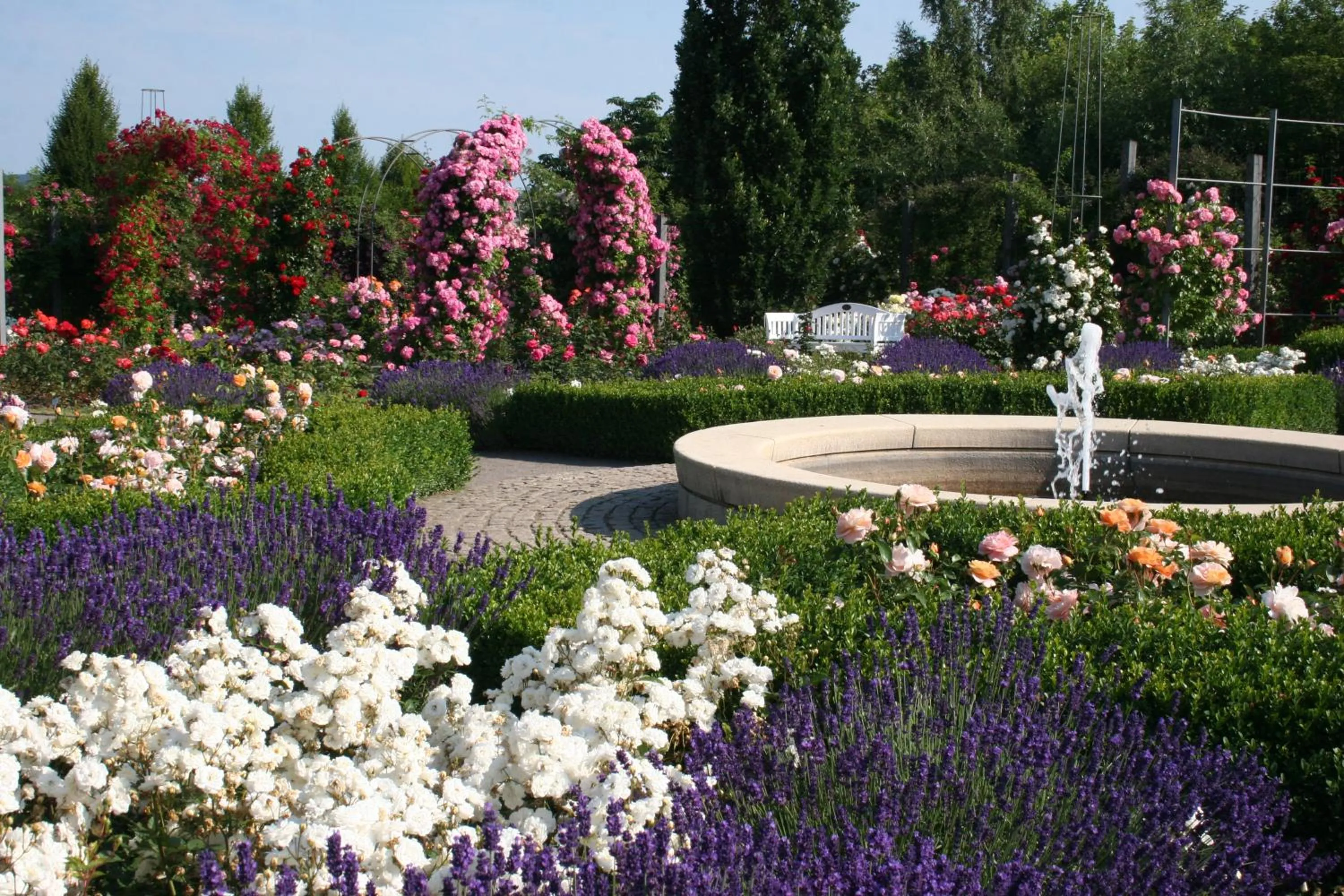 Summer in Hotel Zum Bürgergarten
