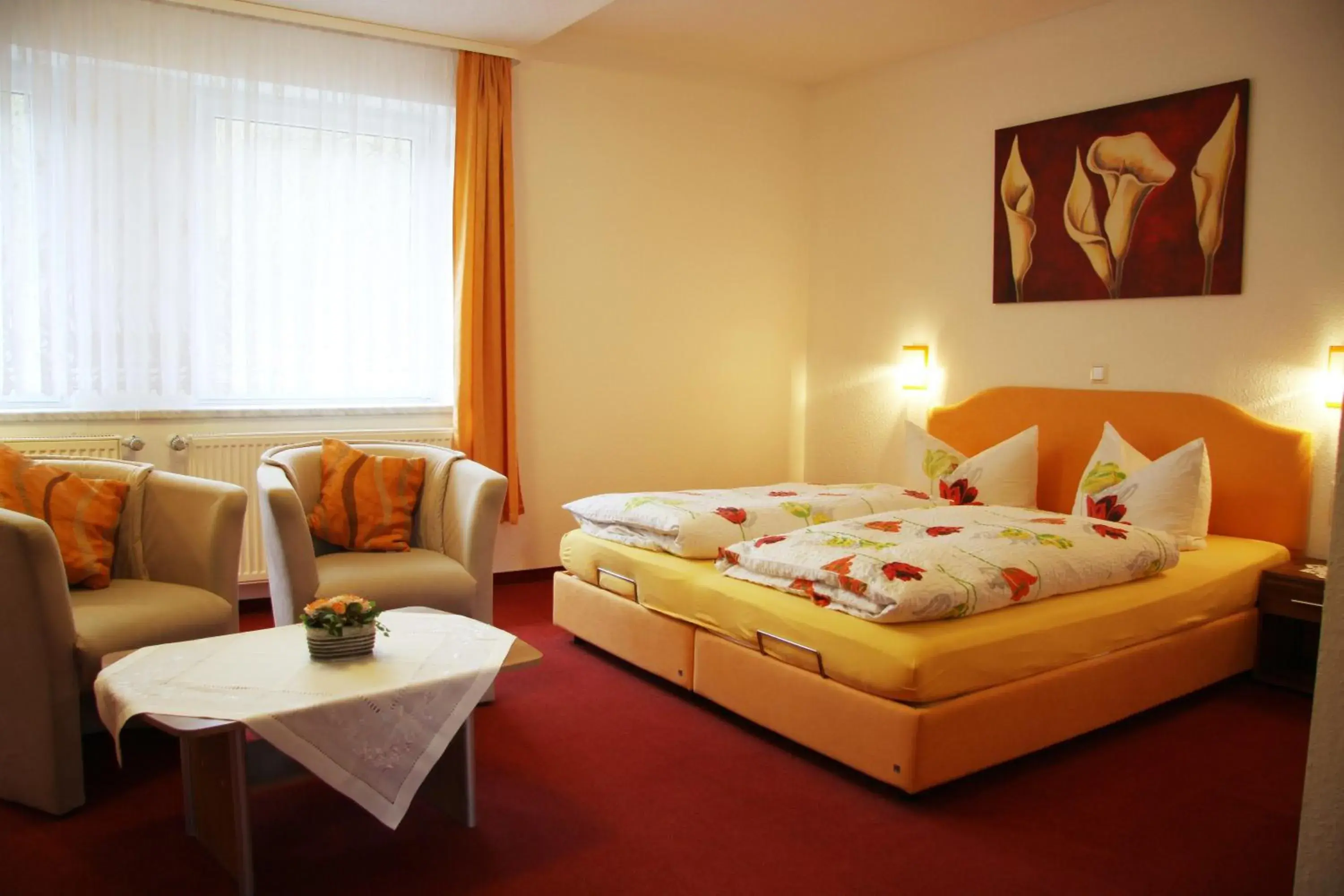 Double Room - single occupancy in Hotel Zum Bürgergarten Double Room - single occupancy in Hotel Zum Bürgergarten