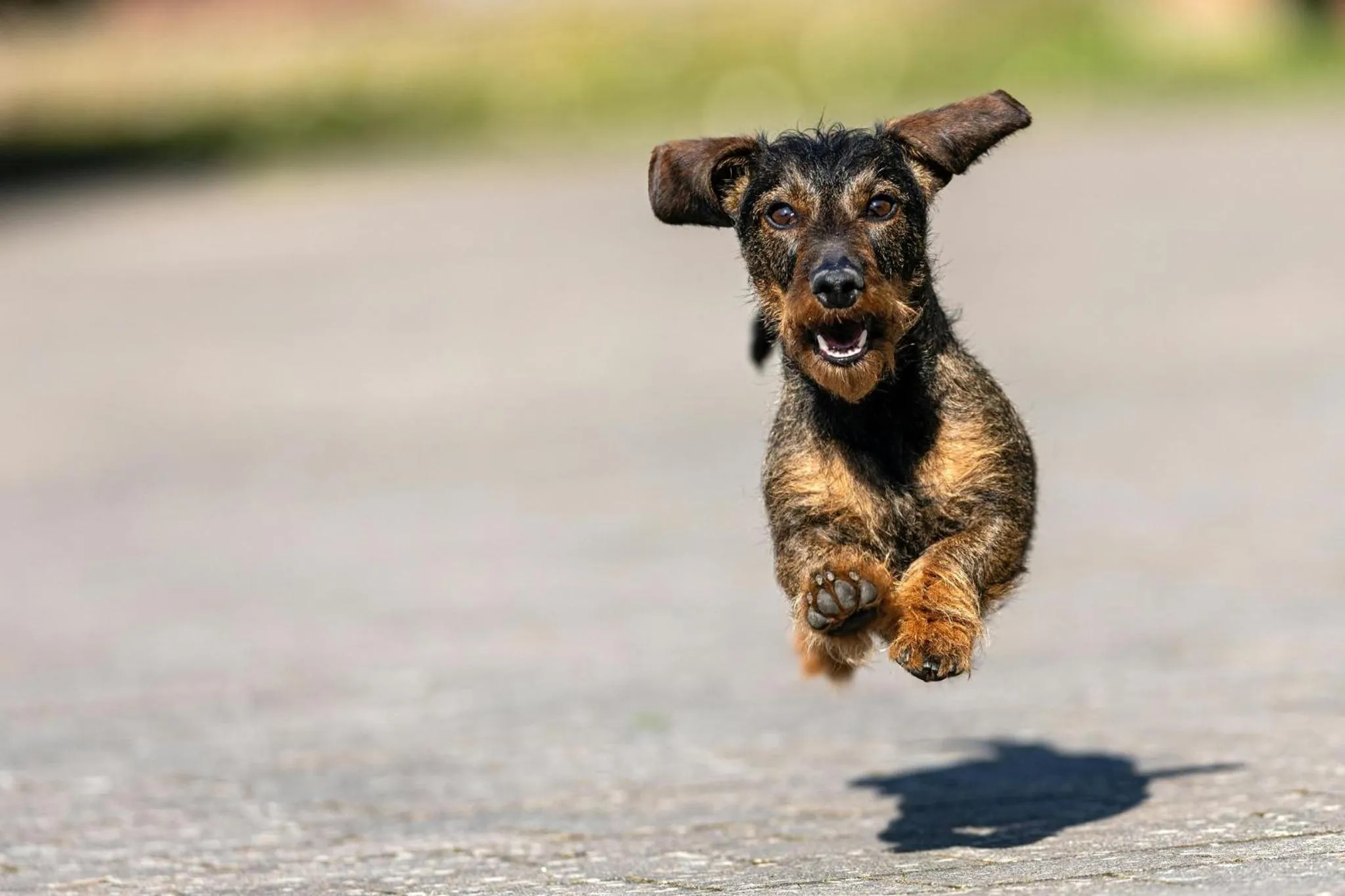 Nearby landmark in Holiday Inn - the niu, Sparrow Regensburg by IHG