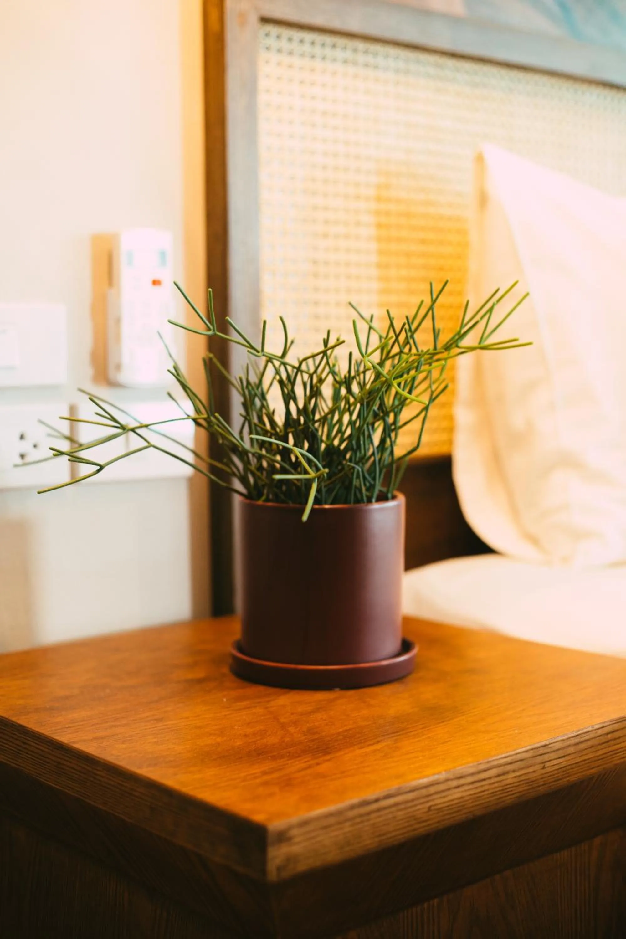 BARA BARA' Budget SATUN 'SHA Plus'