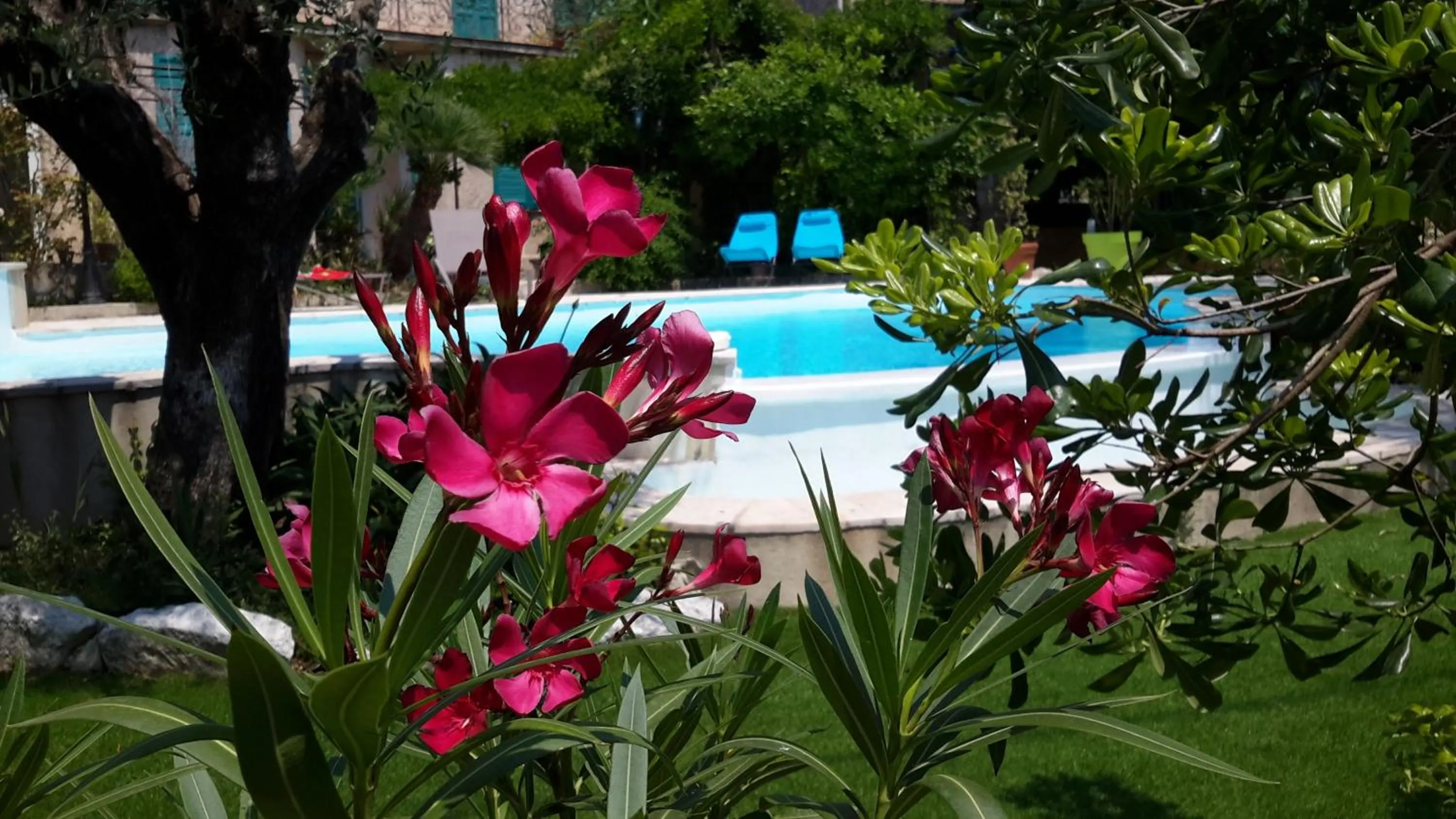Pool view in Villa Mia