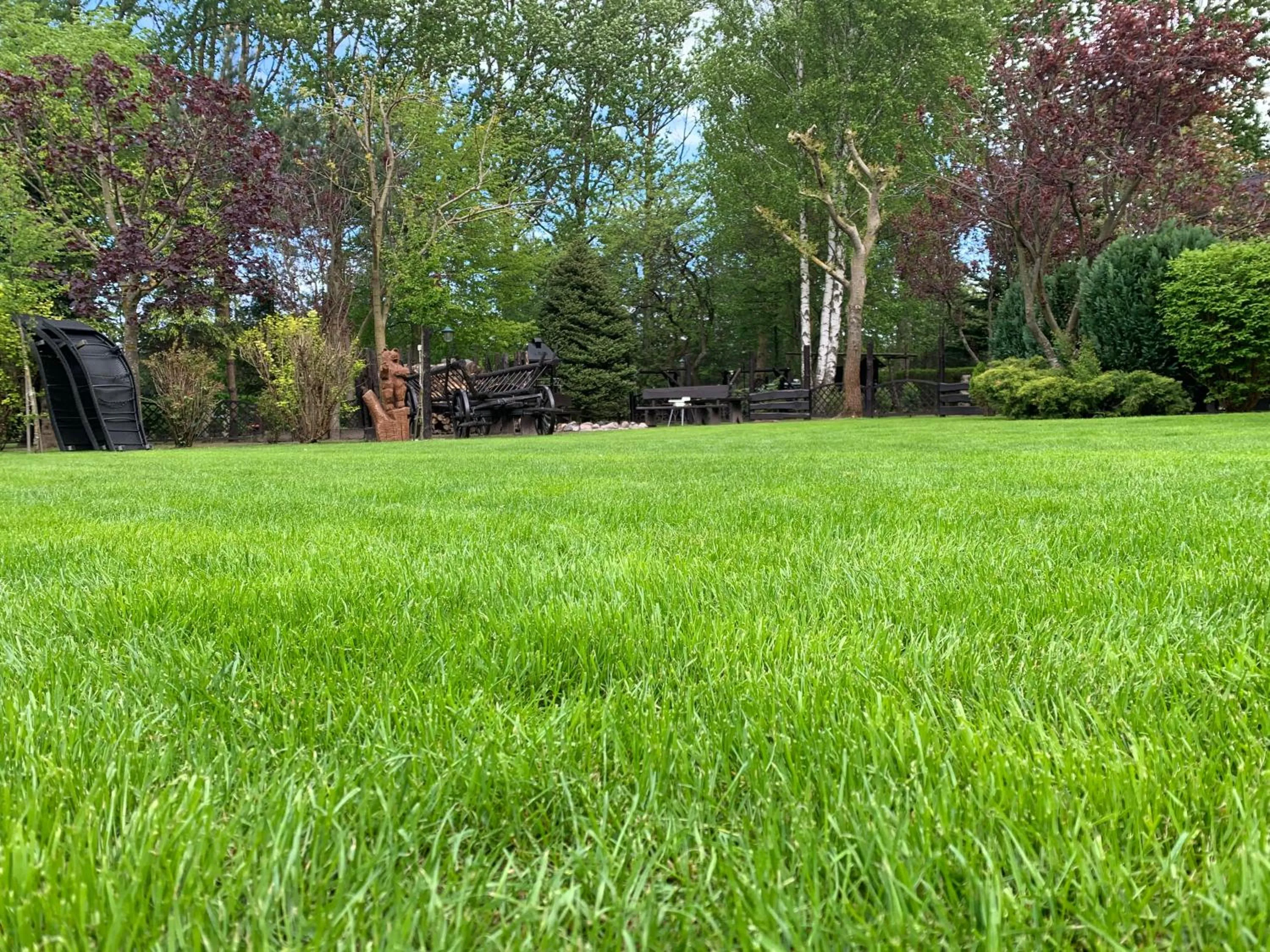 Garden in Dom wczasowy HEEP