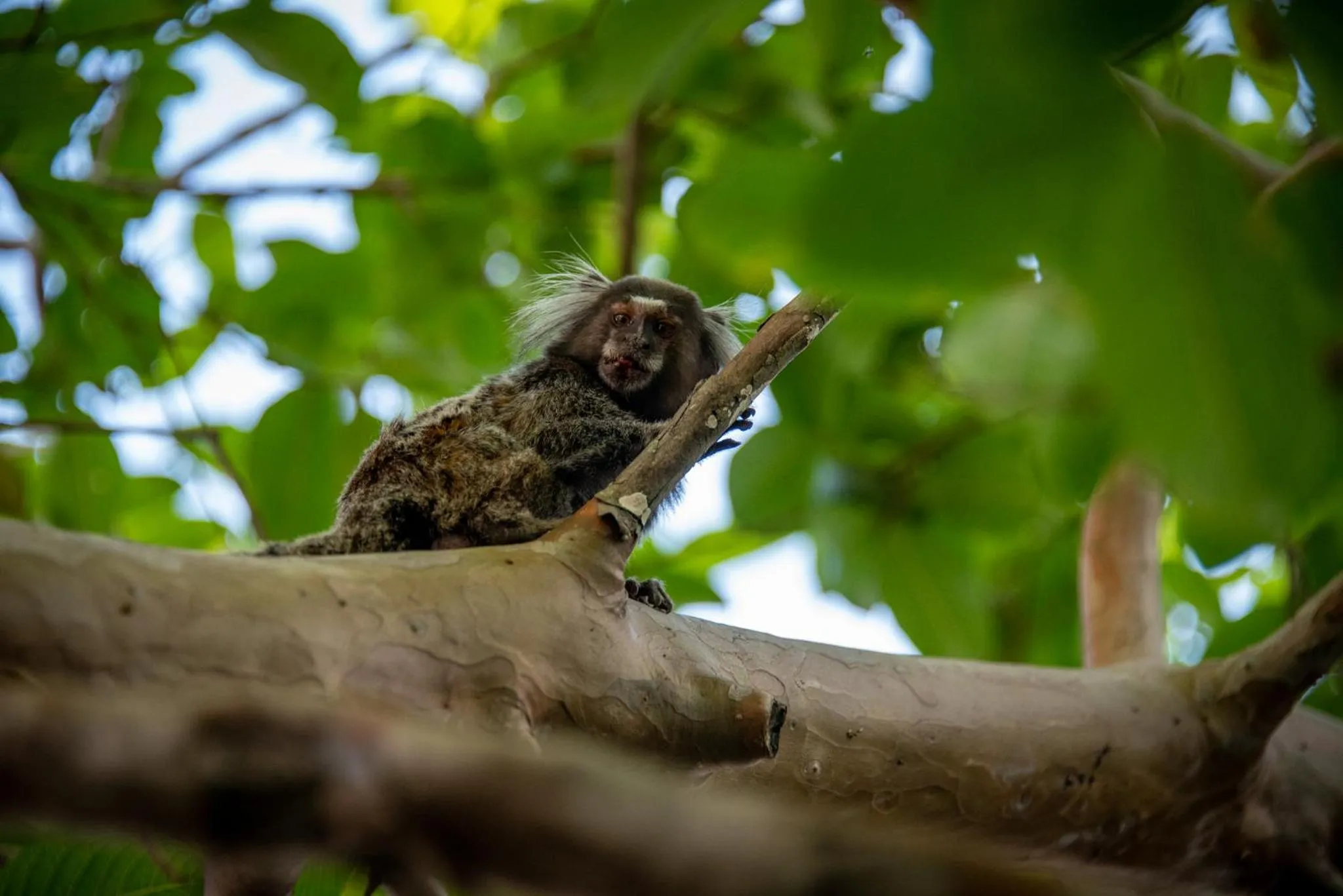 Property building in Villa Paranaguá Hotel & Spa - Boutique Hotel