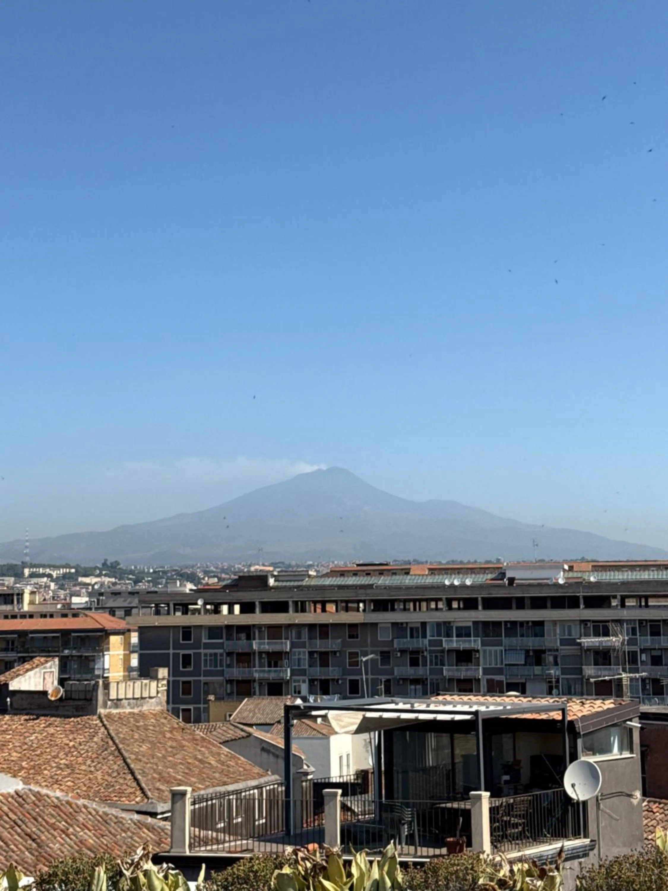 Mountain view in Terrazza Sangiuliano