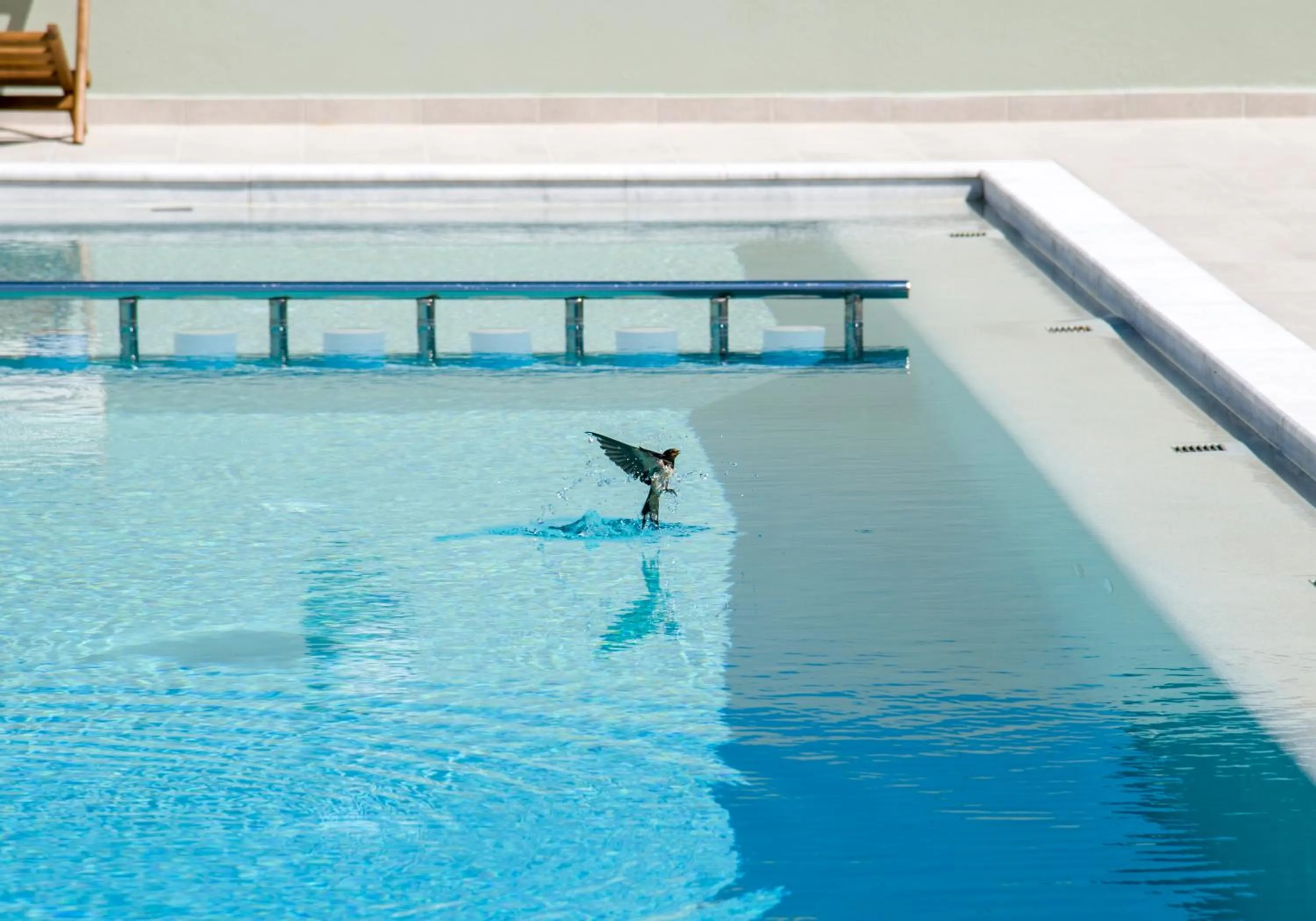 Swimming pool in Incognito Creta Luxury Suites and More