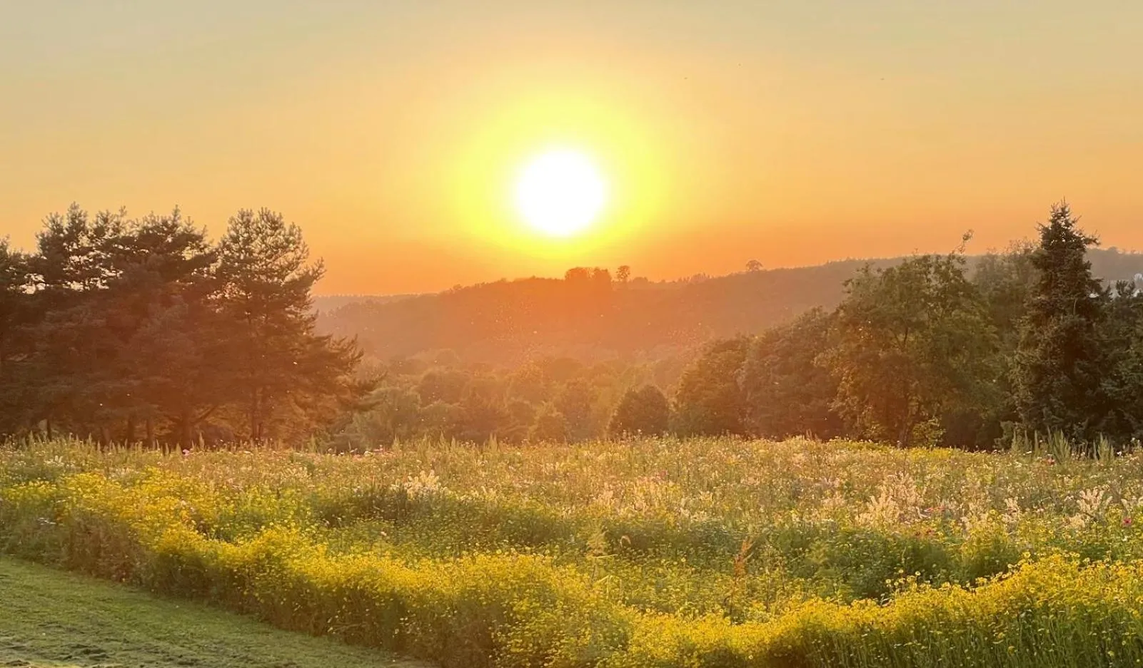 Off site in Golf- und Sporthotel Wiesensee
