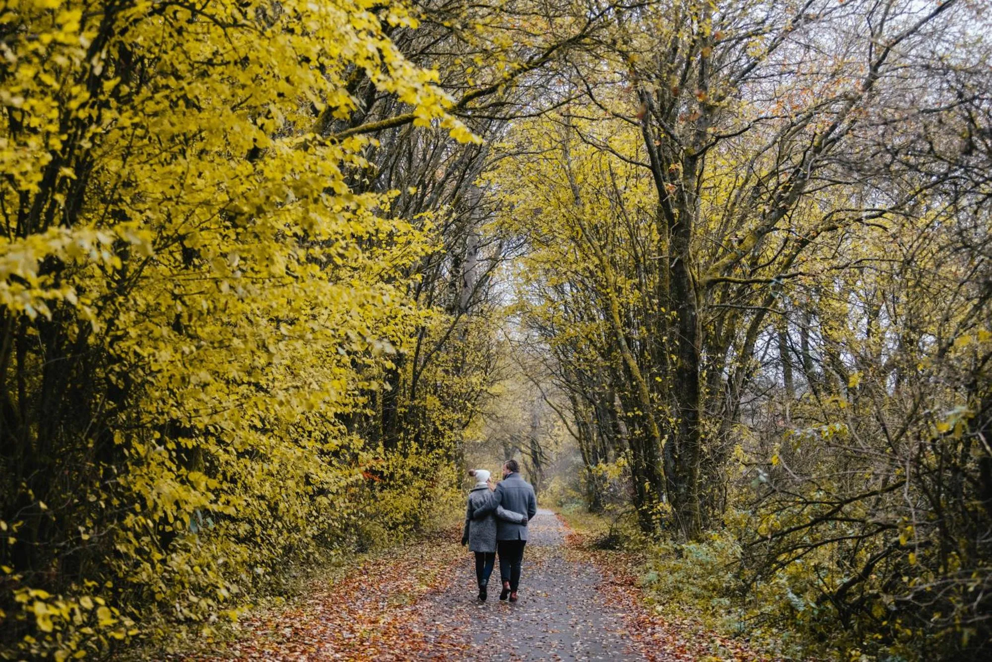 Off site in Golf- und Sporthotel Wiesensee